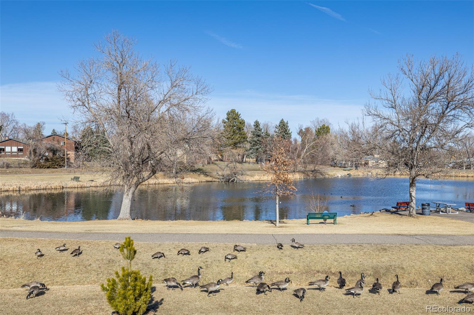 MLS Image #38 for 1923 s cody way,lakewood, Colorado