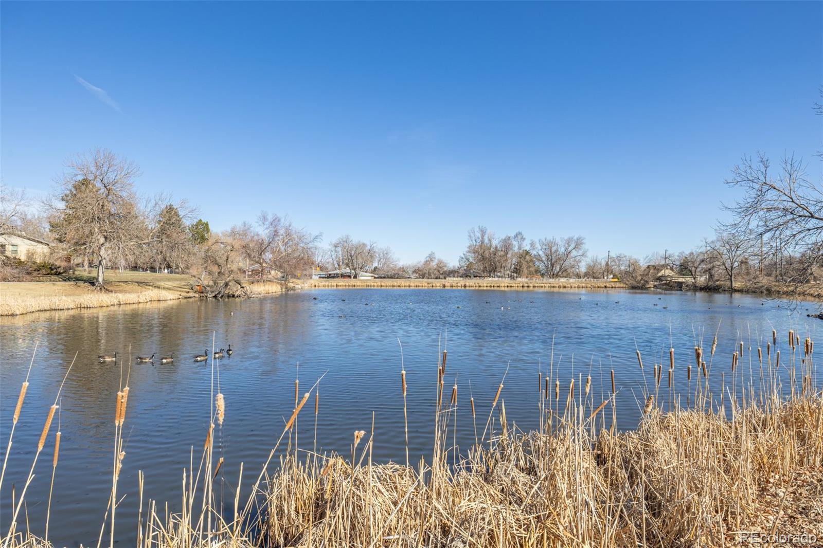 MLS Image #41 for 1923 s cody way,lakewood, Colorado