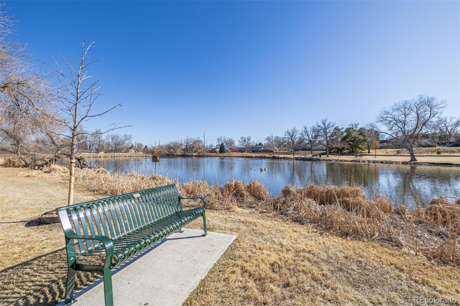 MLS Image #42 for 1923 s cody way,lakewood, Colorado