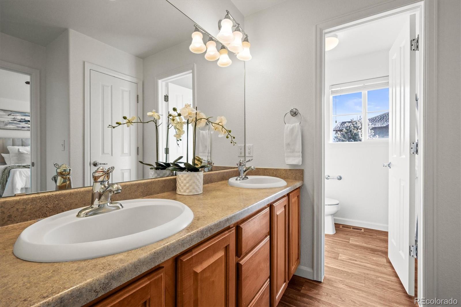 MLS Image #22 for 17026  river birch point,monument, Colorado