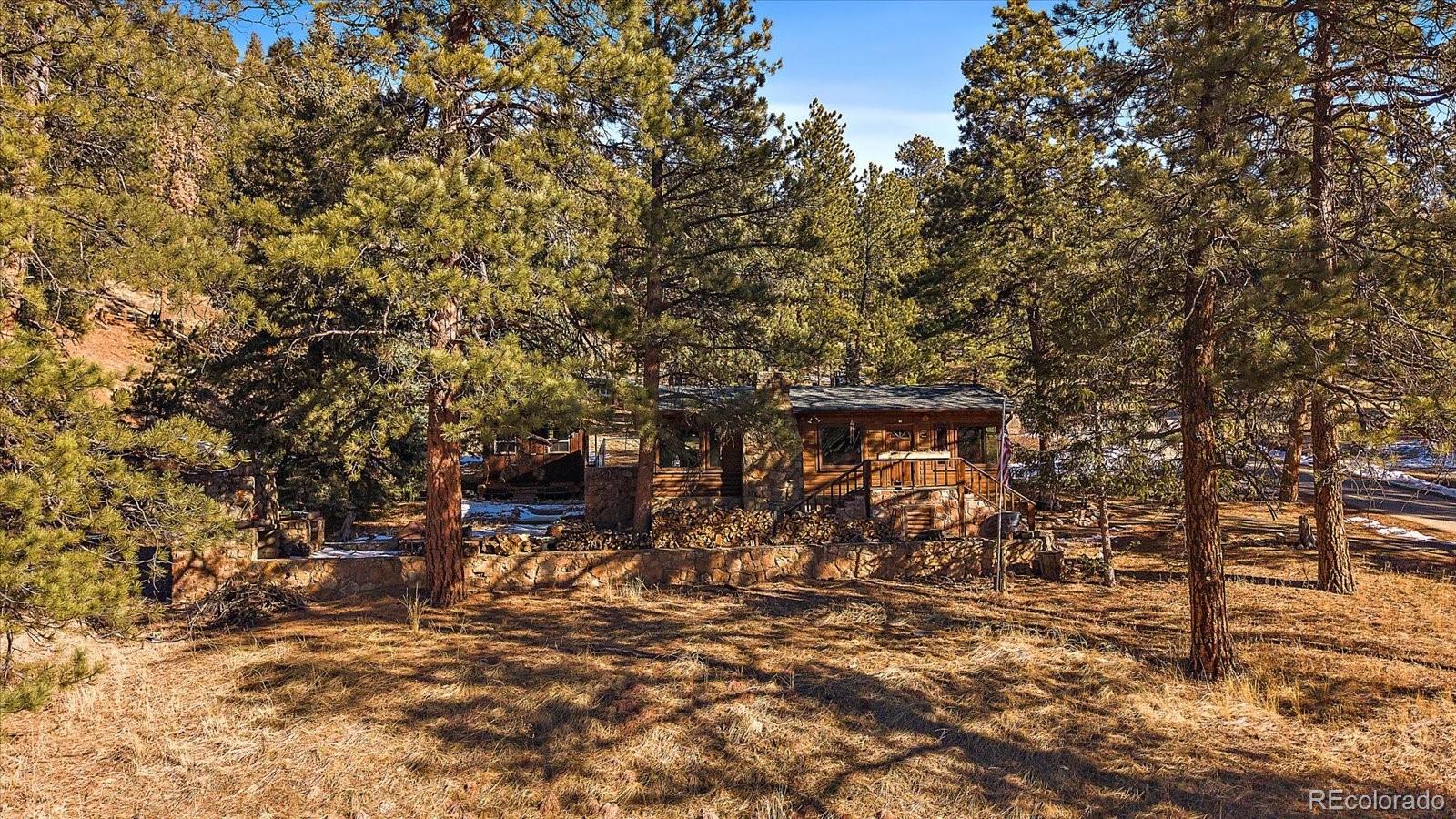 MLS Image #0 for 121  mary beth road,evergreen, Colorado