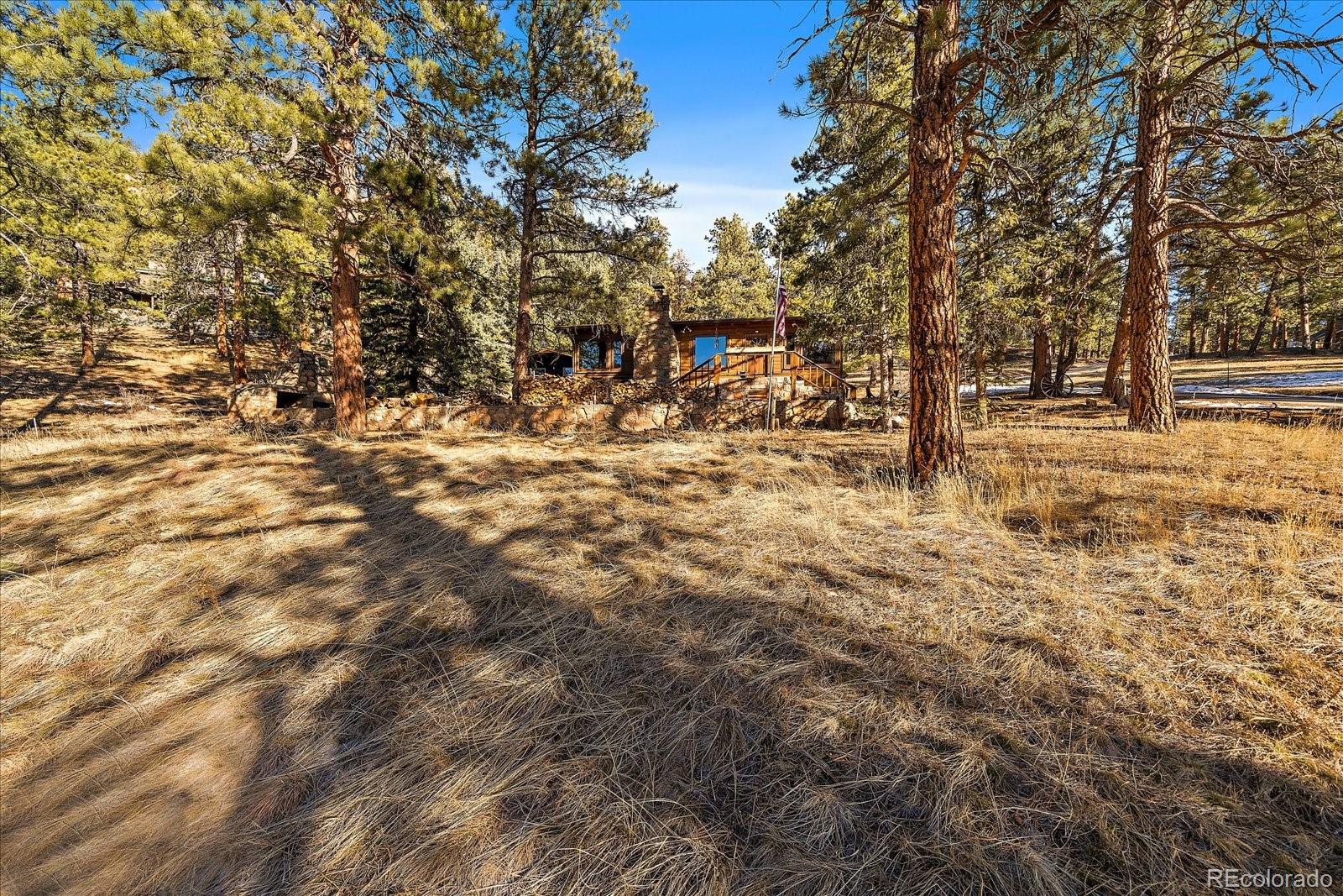 MLS Image #29 for 121  mary beth road,evergreen, Colorado