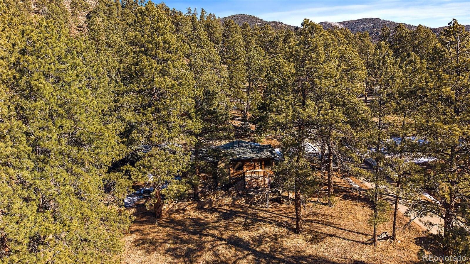 MLS Image #31 for 121  mary beth road,evergreen, Colorado