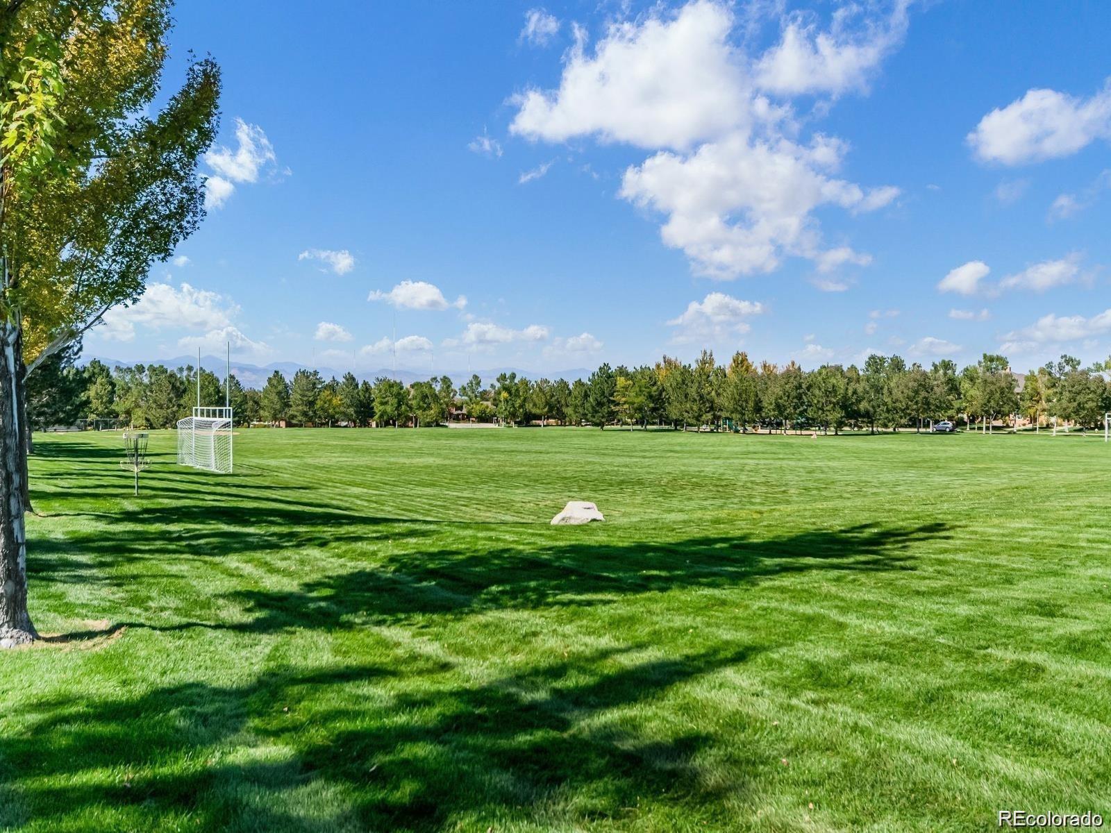 MLS Image #29 for 6410  silver mesa drive,highlands ranch, Colorado