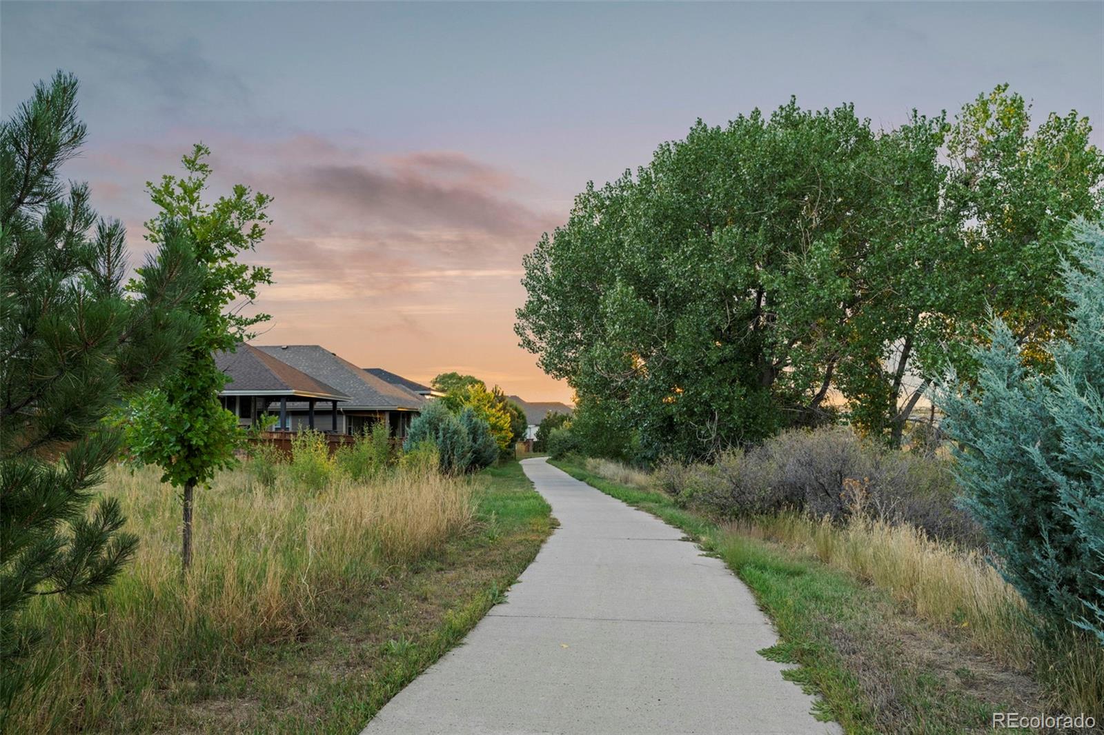 MLS Image #36 for 6597  club villa road,parker, Colorado