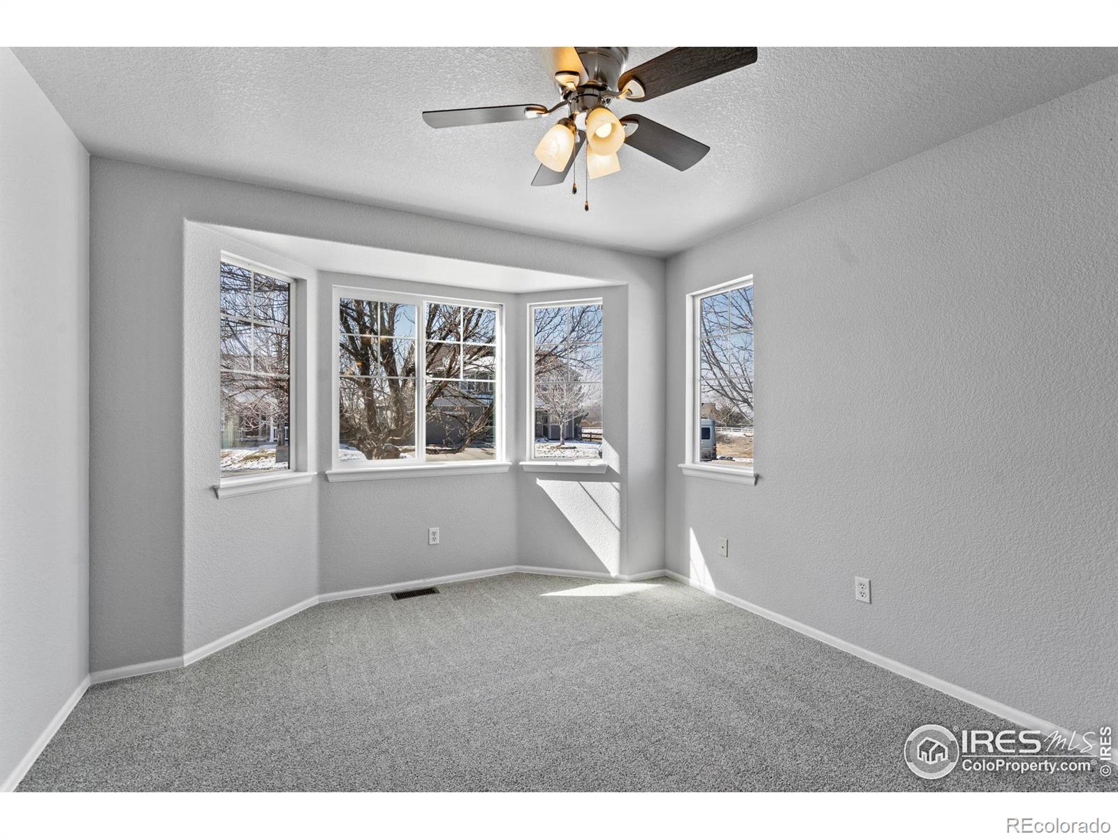 MLS Image #11 for 602 s 34th avenue,brighton, Colorado