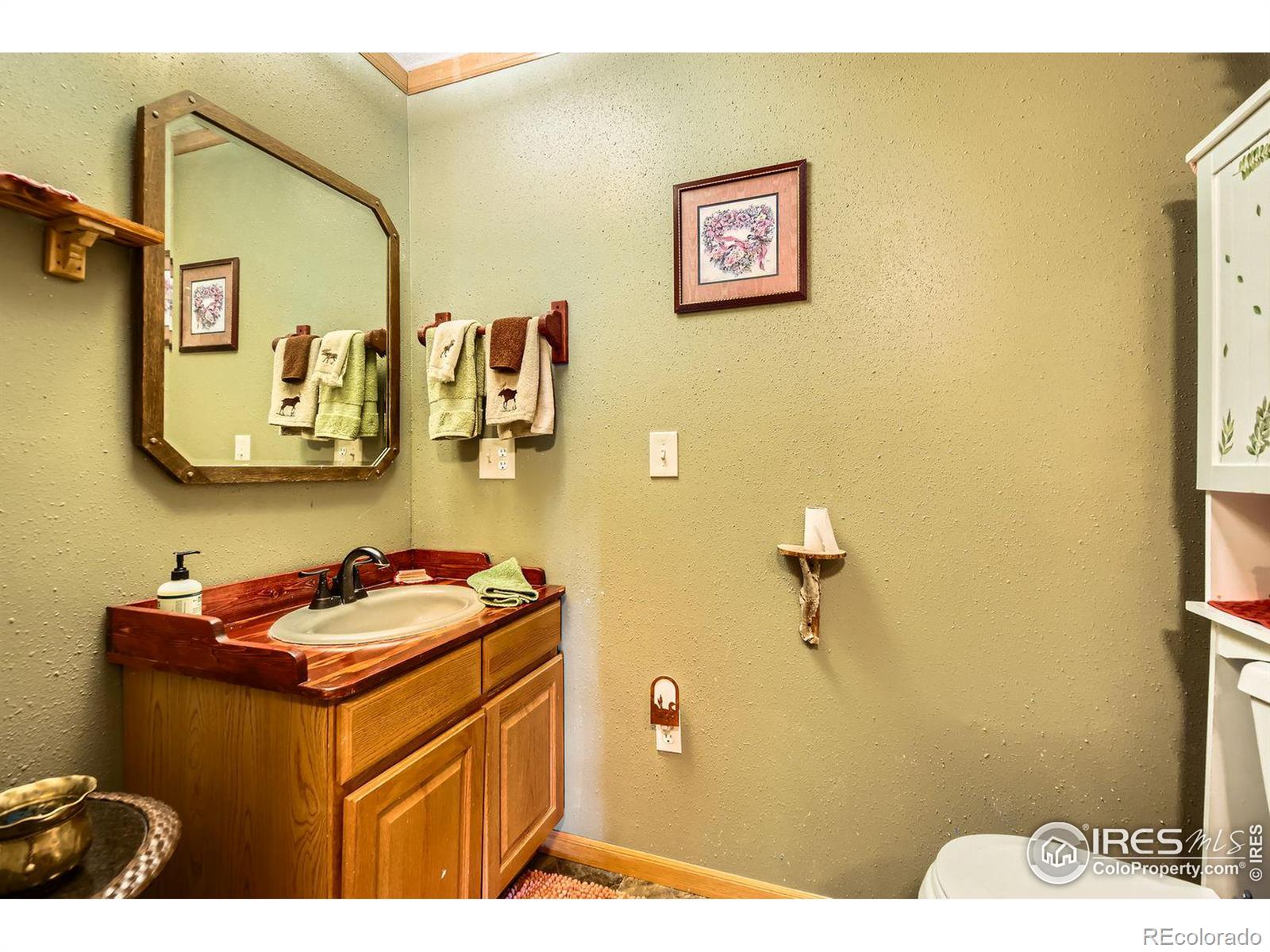 MLS Image #20 for 37  rabbit ears court,livermore, Colorado