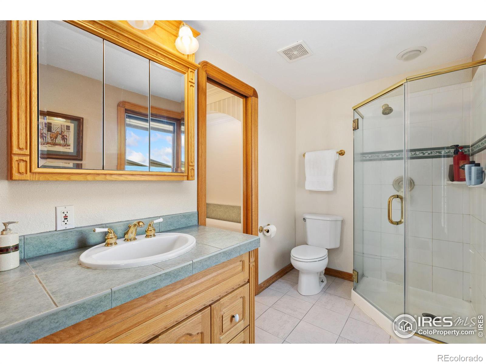 MLS Image #12 for 3401  meining road,berthoud, Colorado