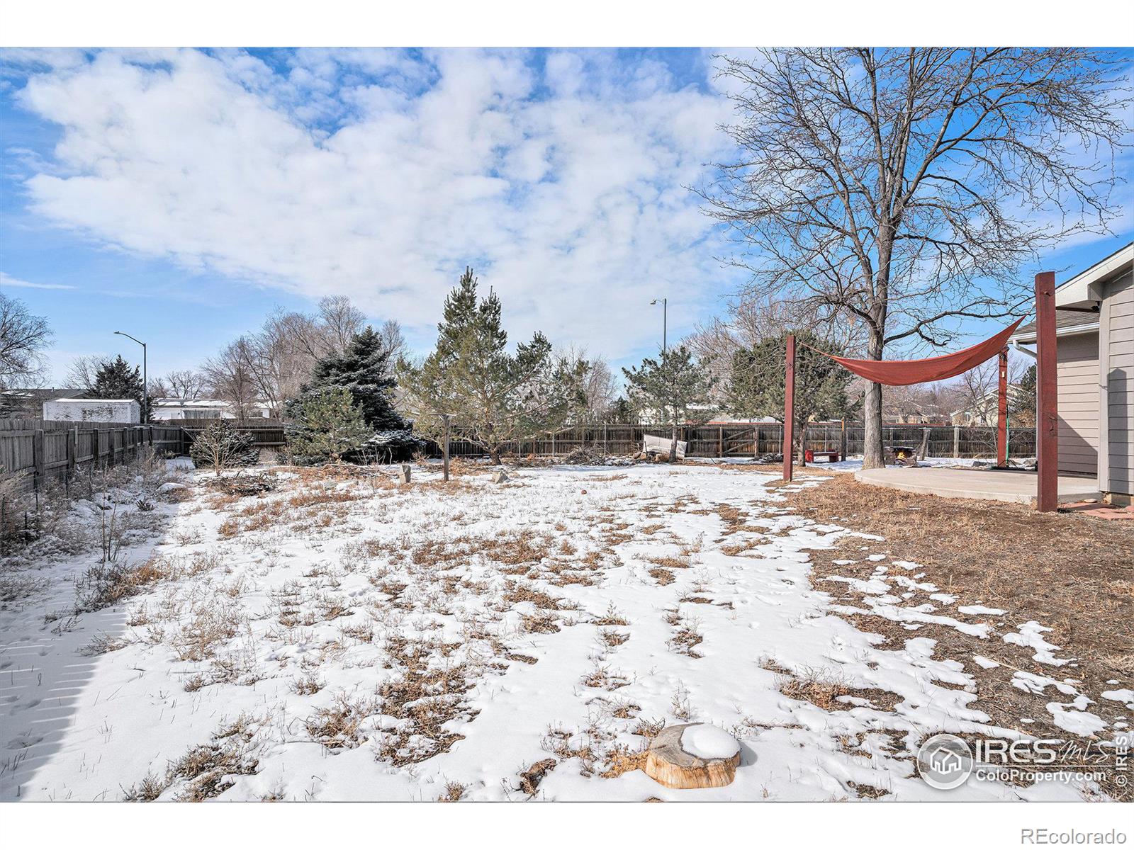 MLS Image #17 for 17  orchid court,windsor, Colorado