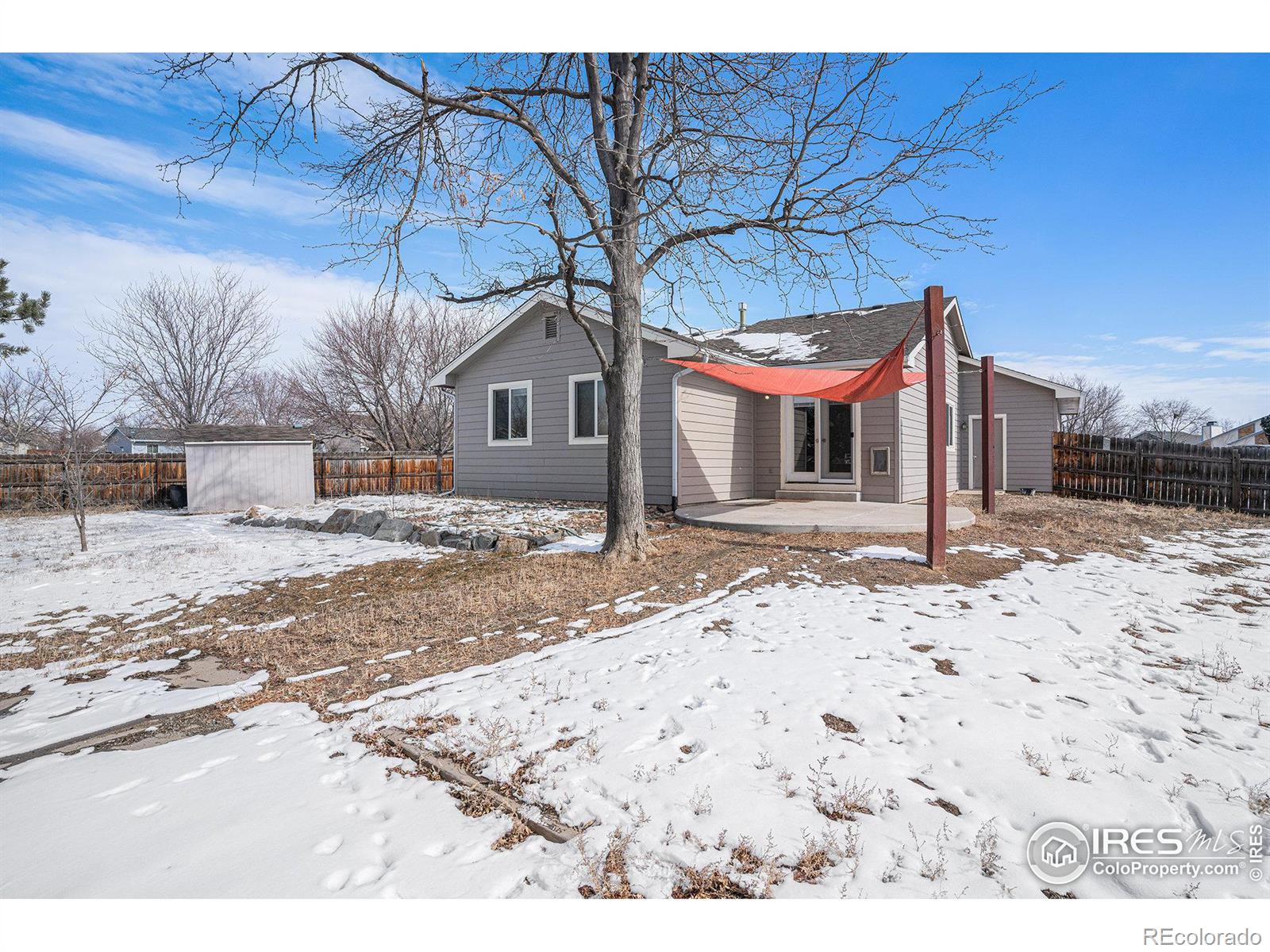 MLS Image #18 for 17  orchid court,windsor, Colorado