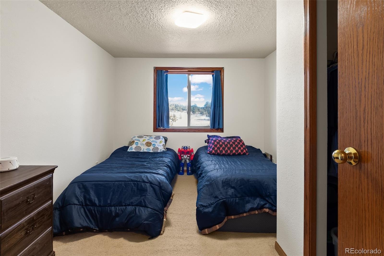 MLS Image #36 for 97  deer lane,guffey, Colorado