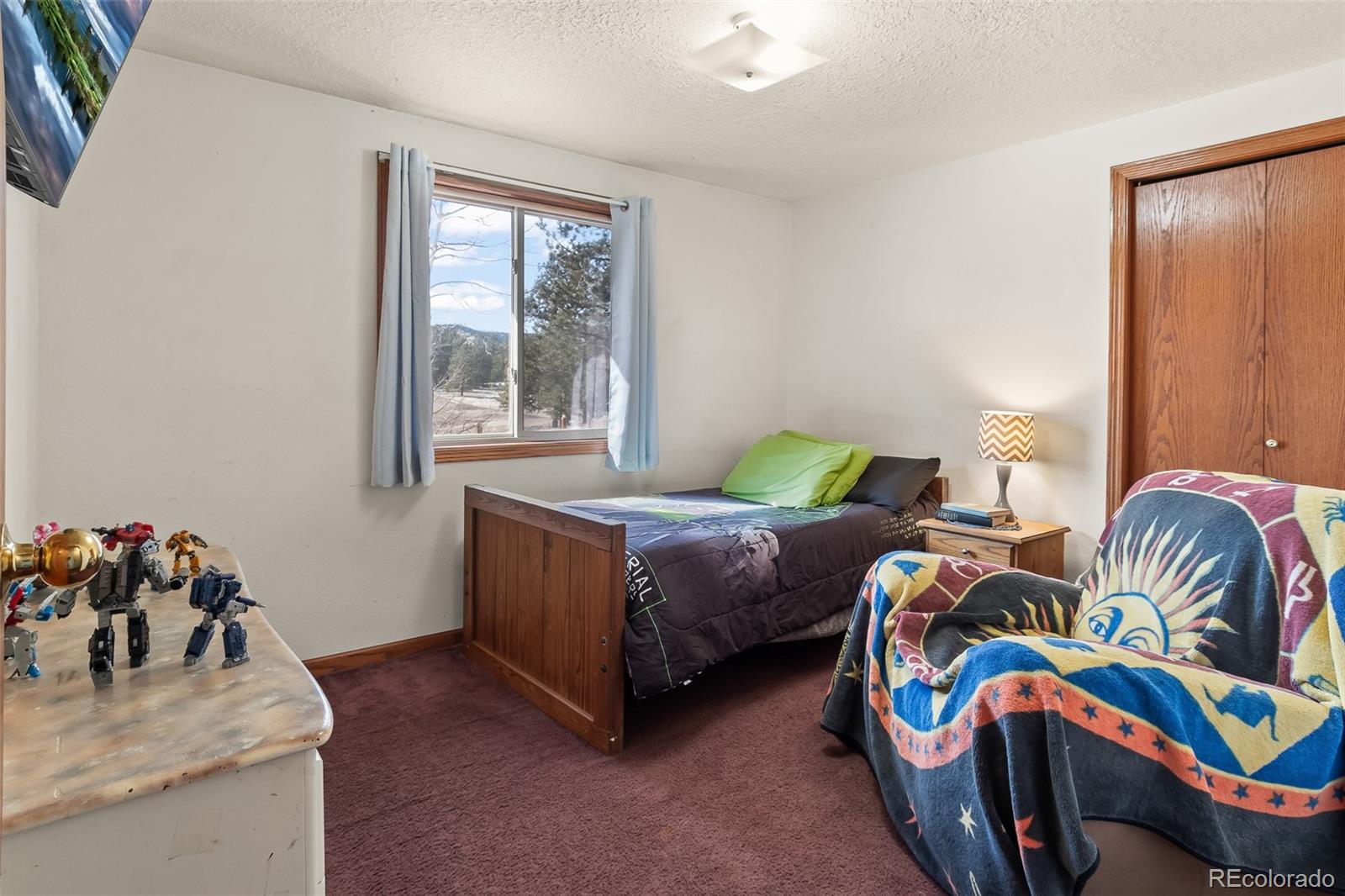 MLS Image #41 for 97  deer lane,guffey, Colorado