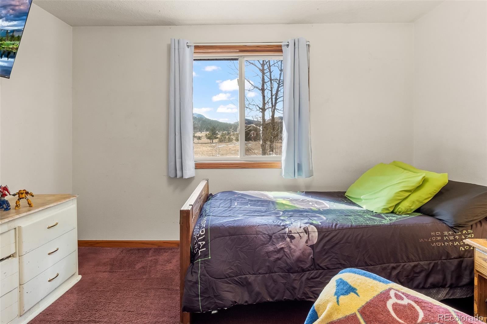 MLS Image #42 for 97  deer lane,guffey, Colorado