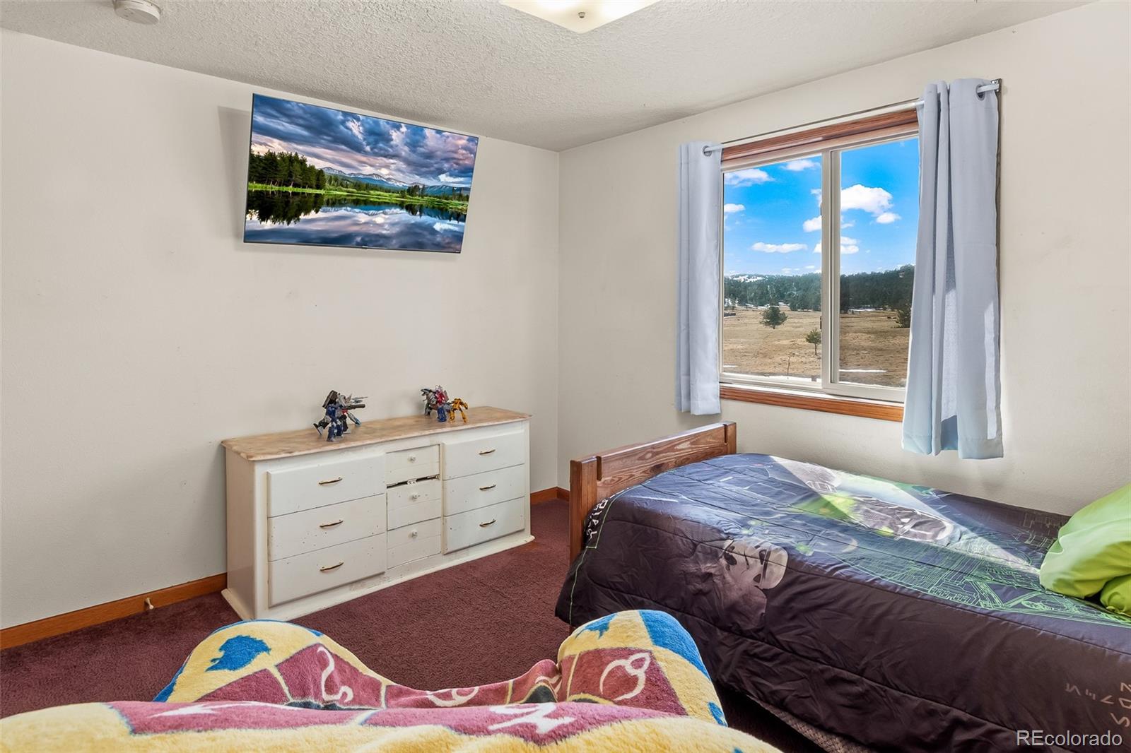 MLS Image #43 for 97  deer lane,guffey, Colorado