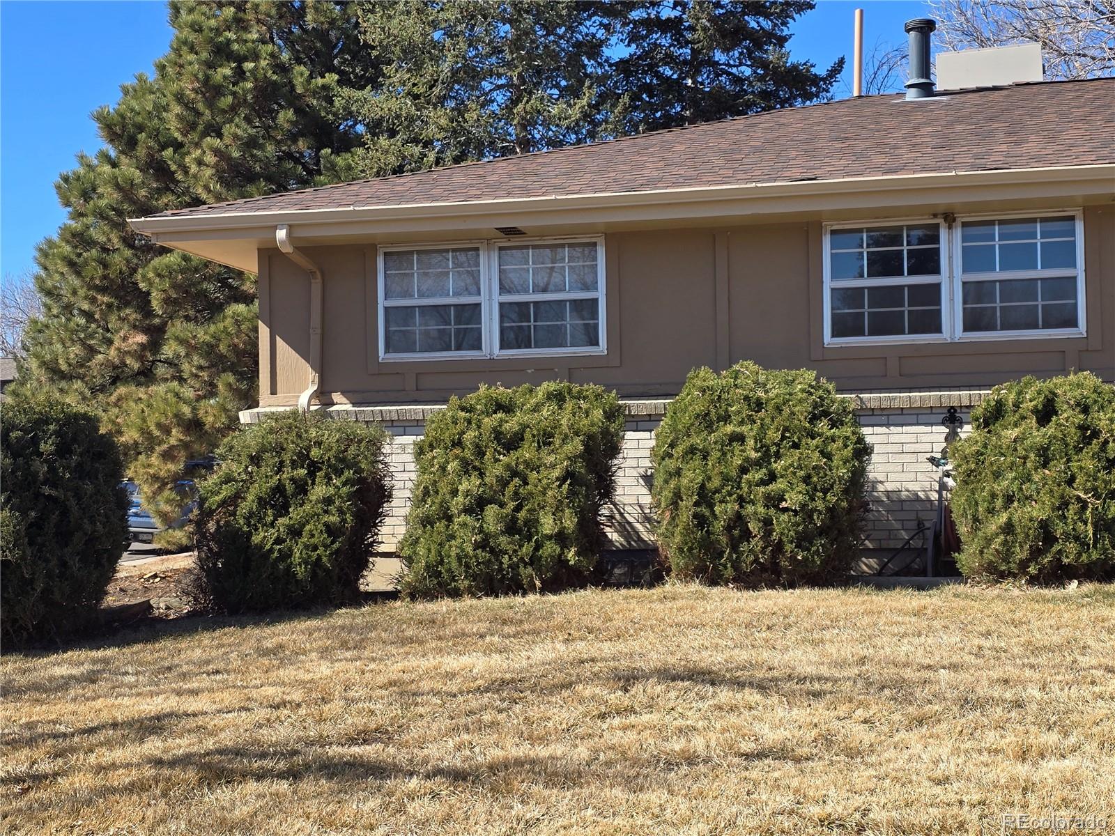 MLS Image #4 for 6131  wolff street,arvada, Colorado