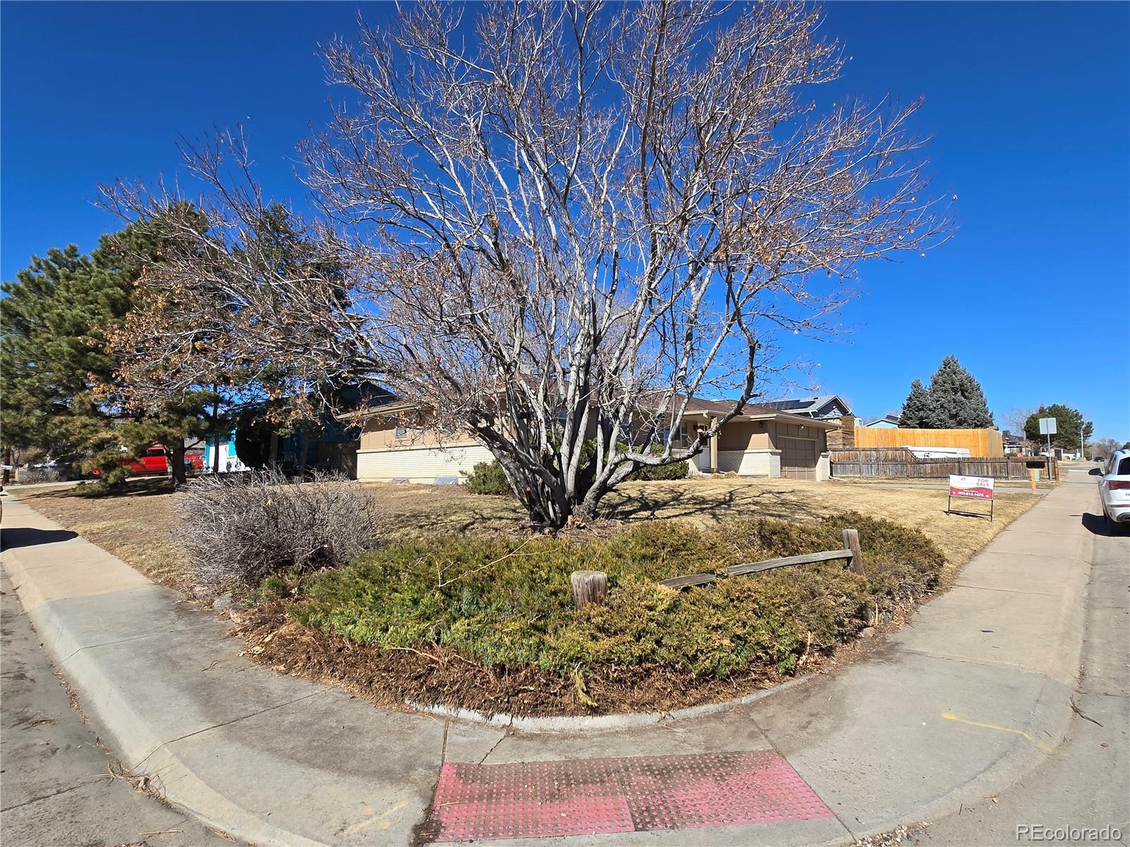 MLS Image #6 for 6131  wolff street,arvada, Colorado