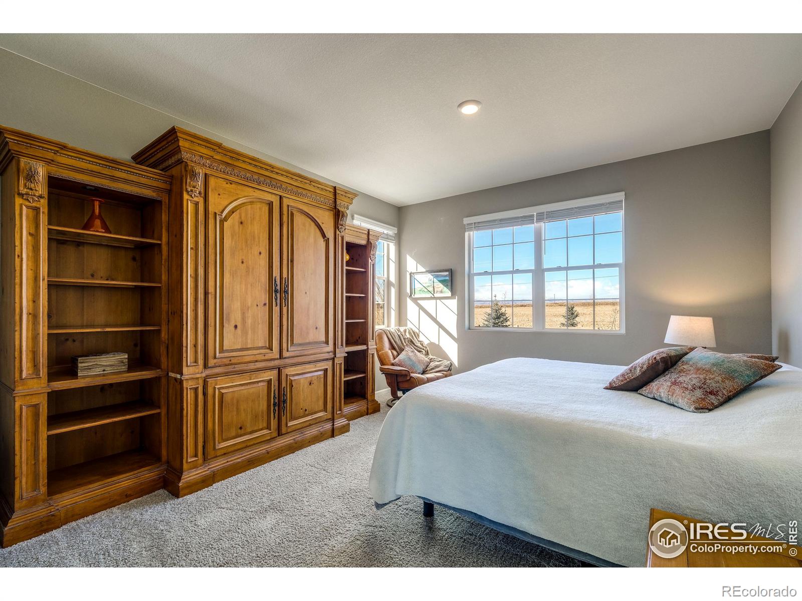 MLS Image #14 for 6779  whisper trail lane,wellington, Colorado