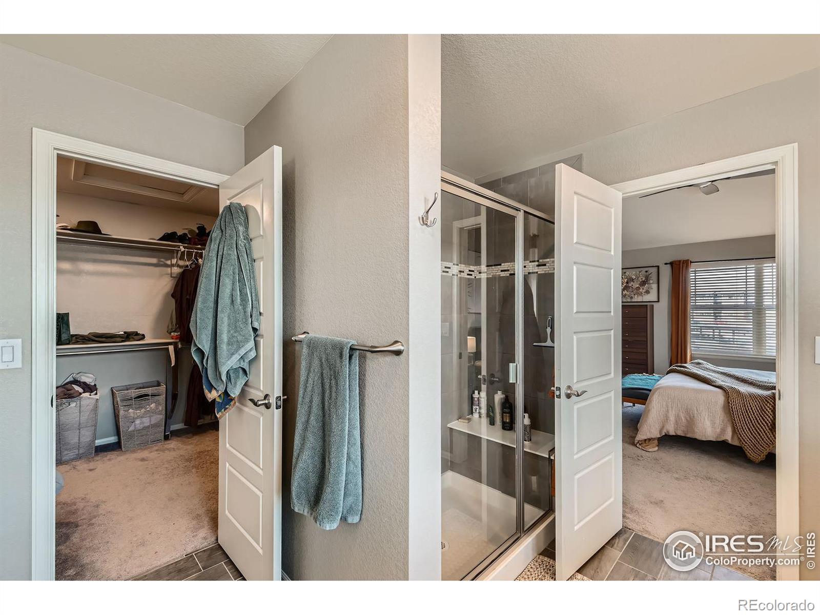 MLS Image #16 for 2289  french circle,longmont, Colorado