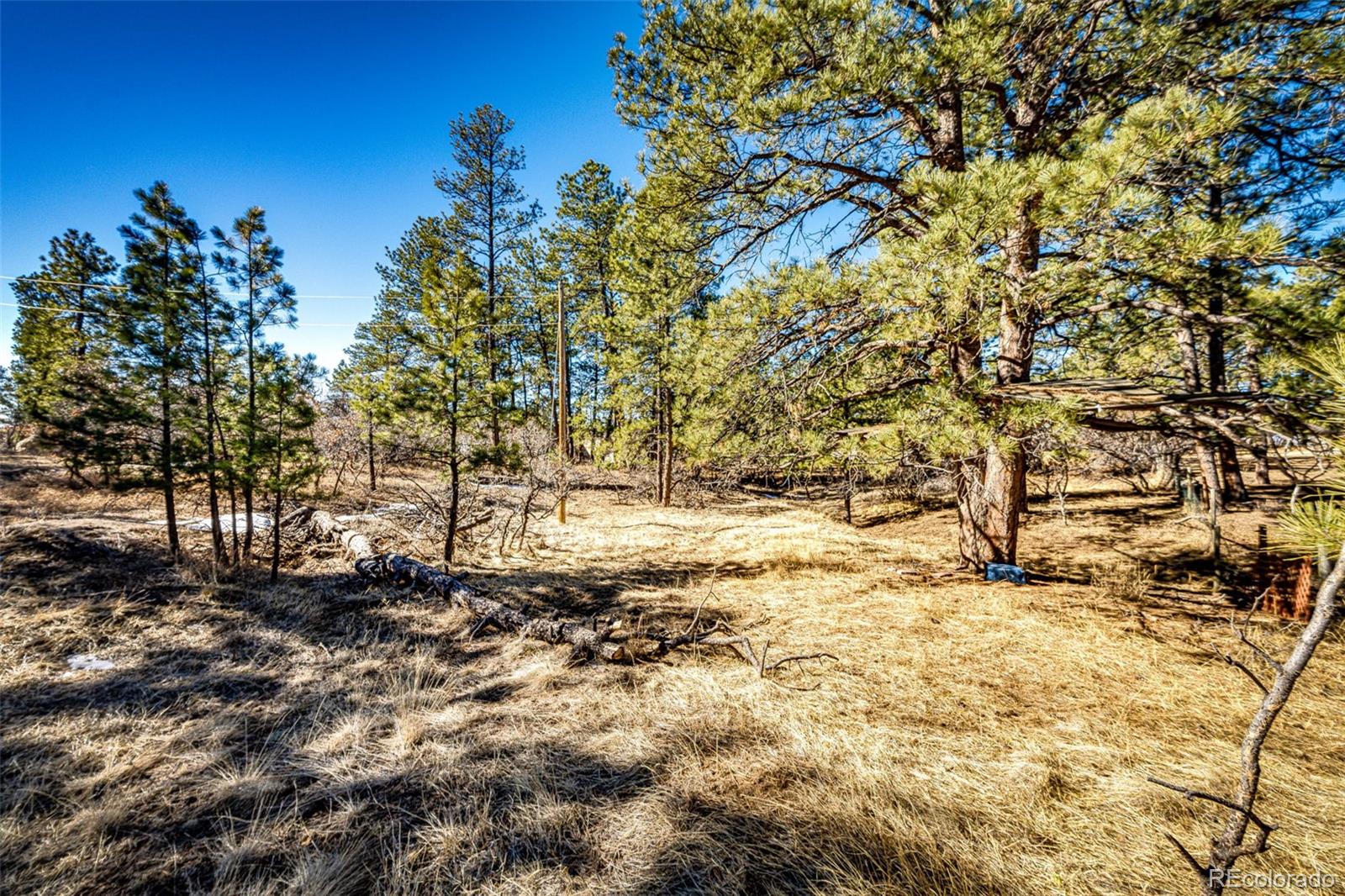 MLS Image #44 for 36635  view ridge drive,elizabeth, Colorado