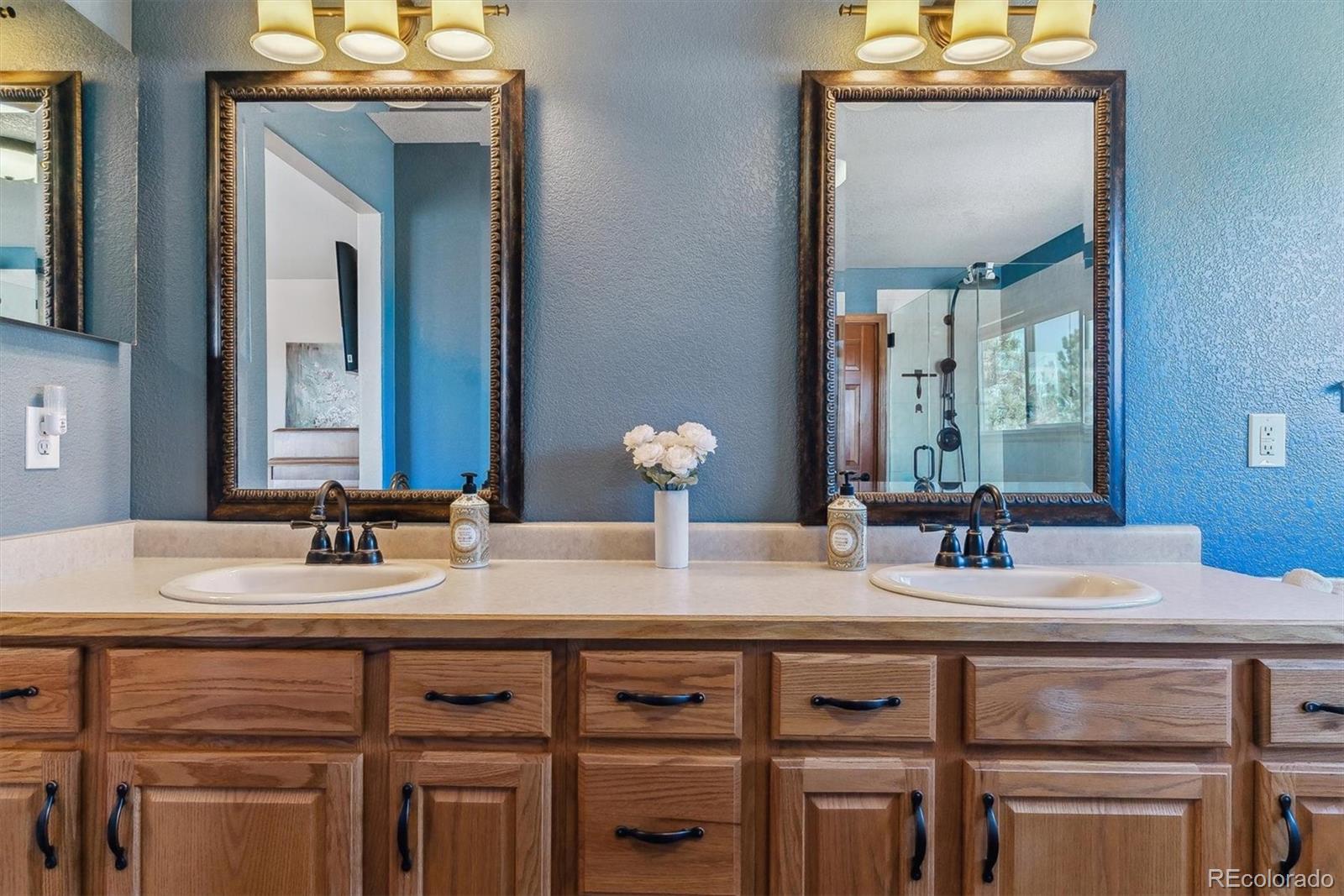 MLS Image #23 for 474  rose finch circle,highlands ranch, Colorado