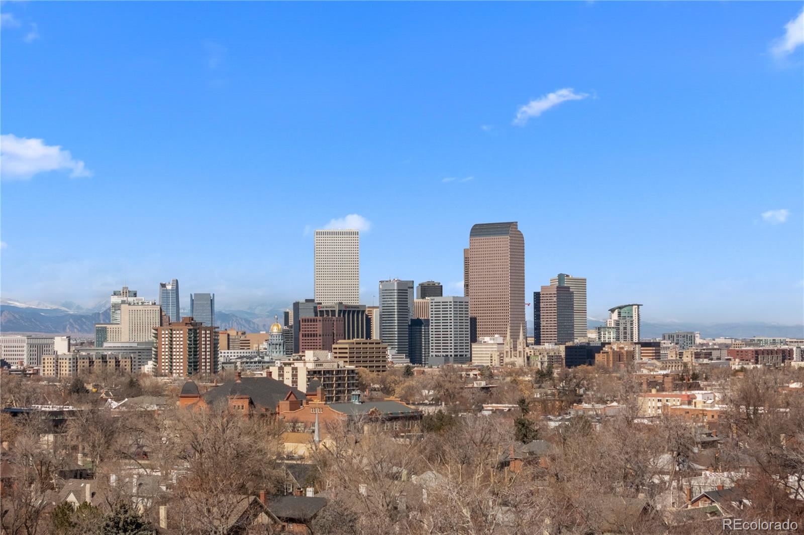 MLS Image #38 for 637 n franklin street,denver, Colorado