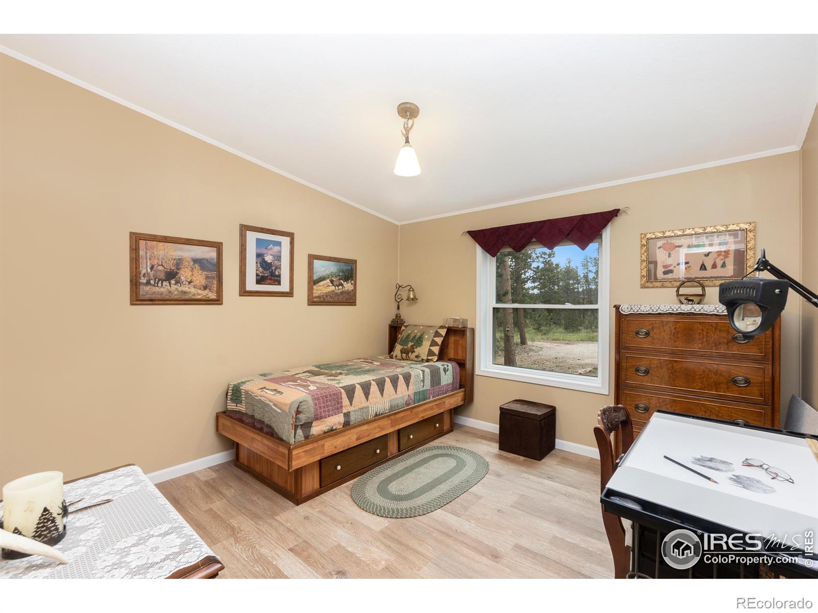 MLS Image #8 for 42  kiliwa court,red feather lakes, Colorado