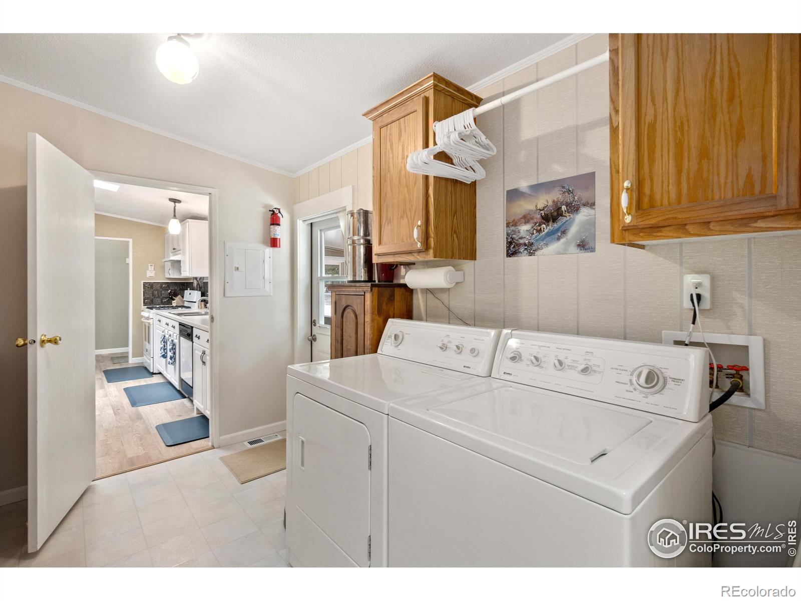 MLS Image #9 for 42  kiliwa court,red feather lakes, Colorado