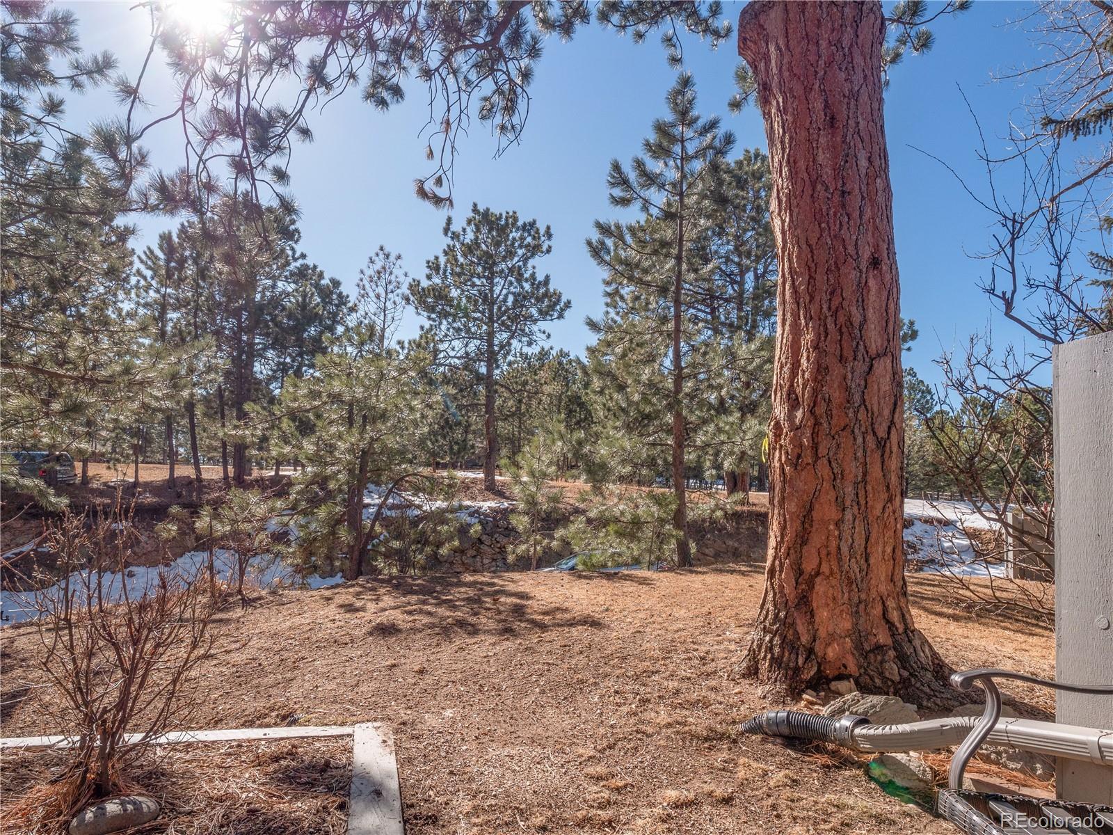 MLS Image #26 for 2308  hearth drive,evergreen, Colorado