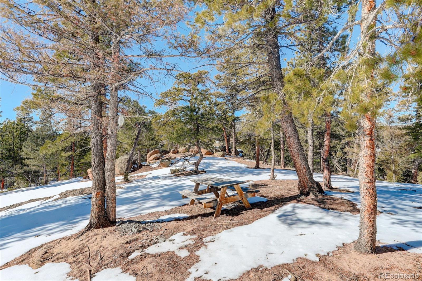 MLS Image #31 for 11505  conifer ridge drive,conifer, Colorado