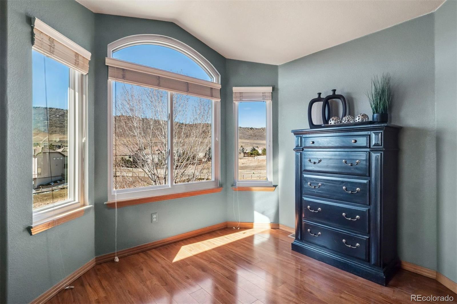 MLS Image #19 for 8493 s newcombe way,littleton, Colorado