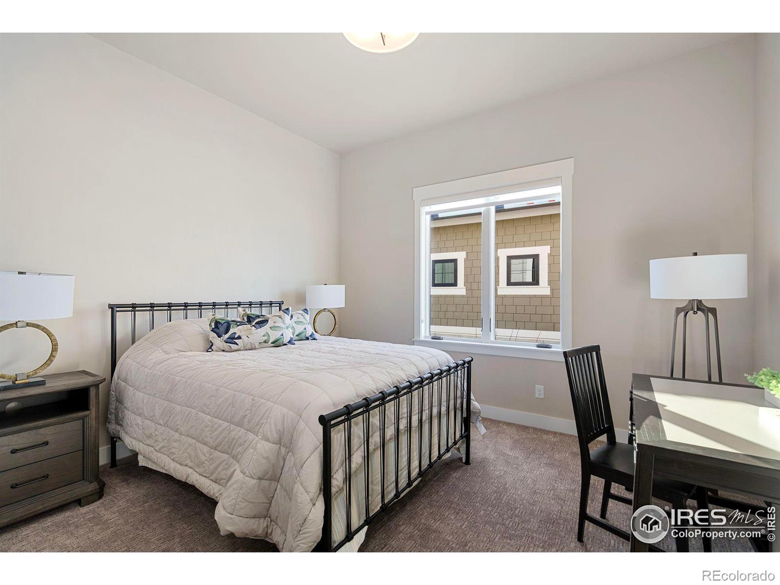 MLS Image #20 for 4022  branigan court,timnath, Colorado