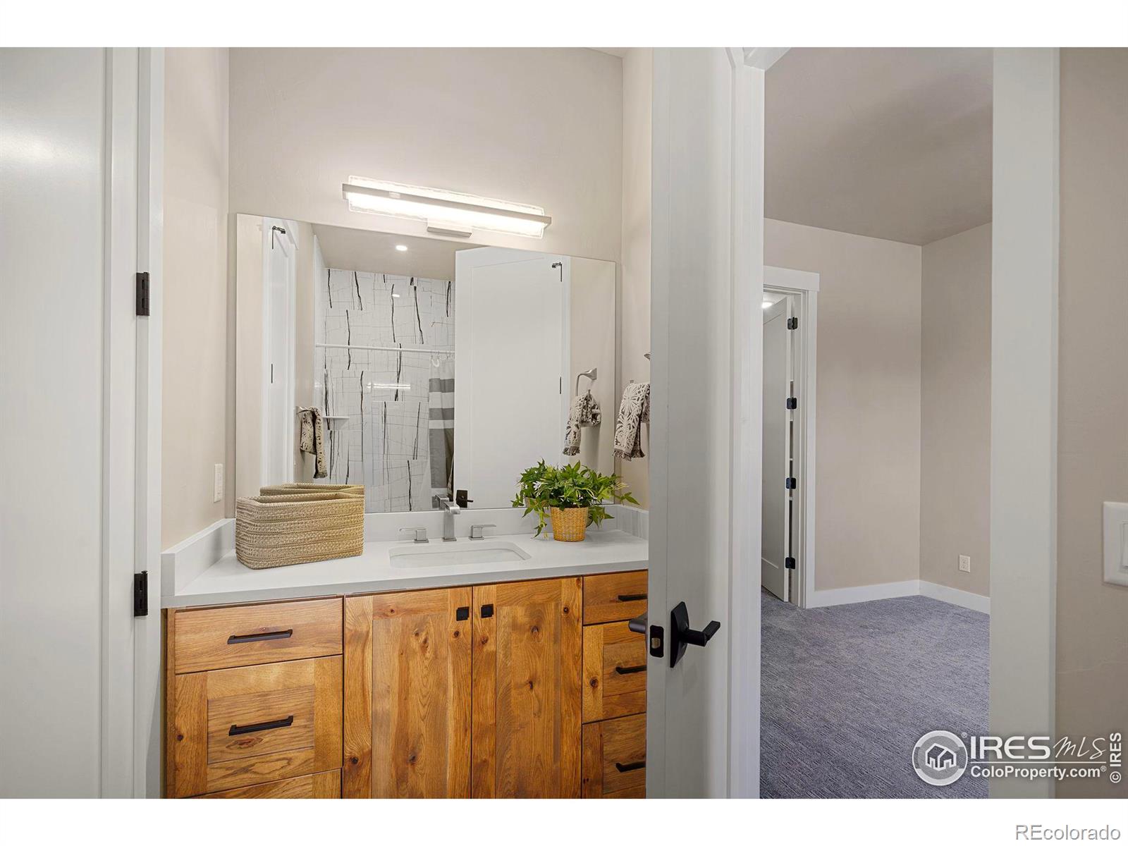 MLS Image #31 for 4022  branigan court,timnath, Colorado