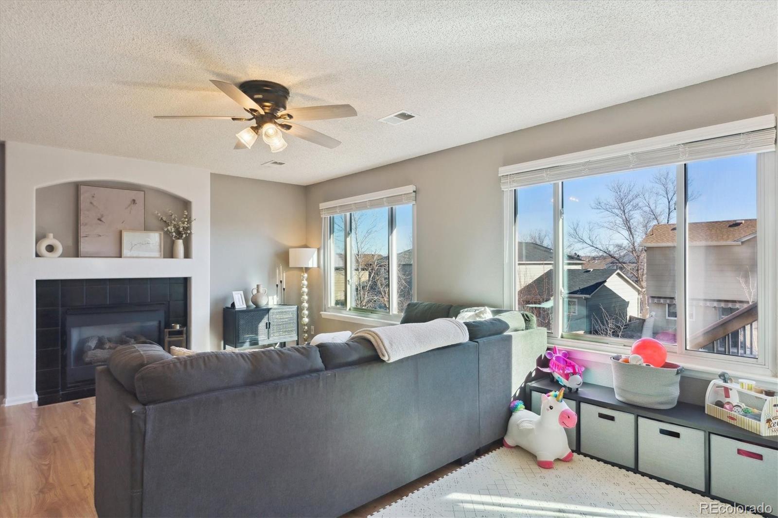 MLS Image #10 for 10442  hyacinth street,highlands ranch, Colorado