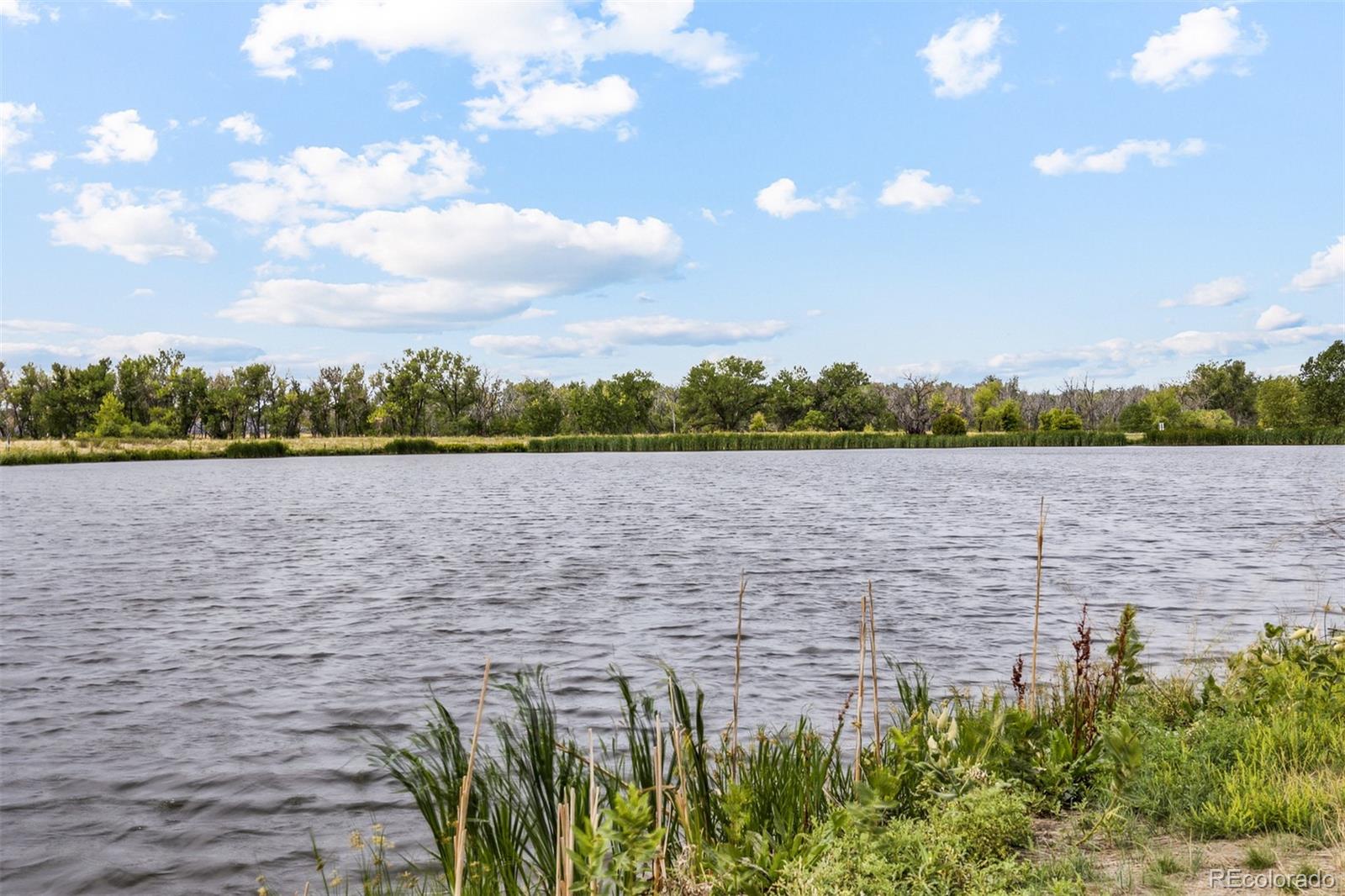 MLS Image #16 for 48299  shetland drive,bennett, Colorado