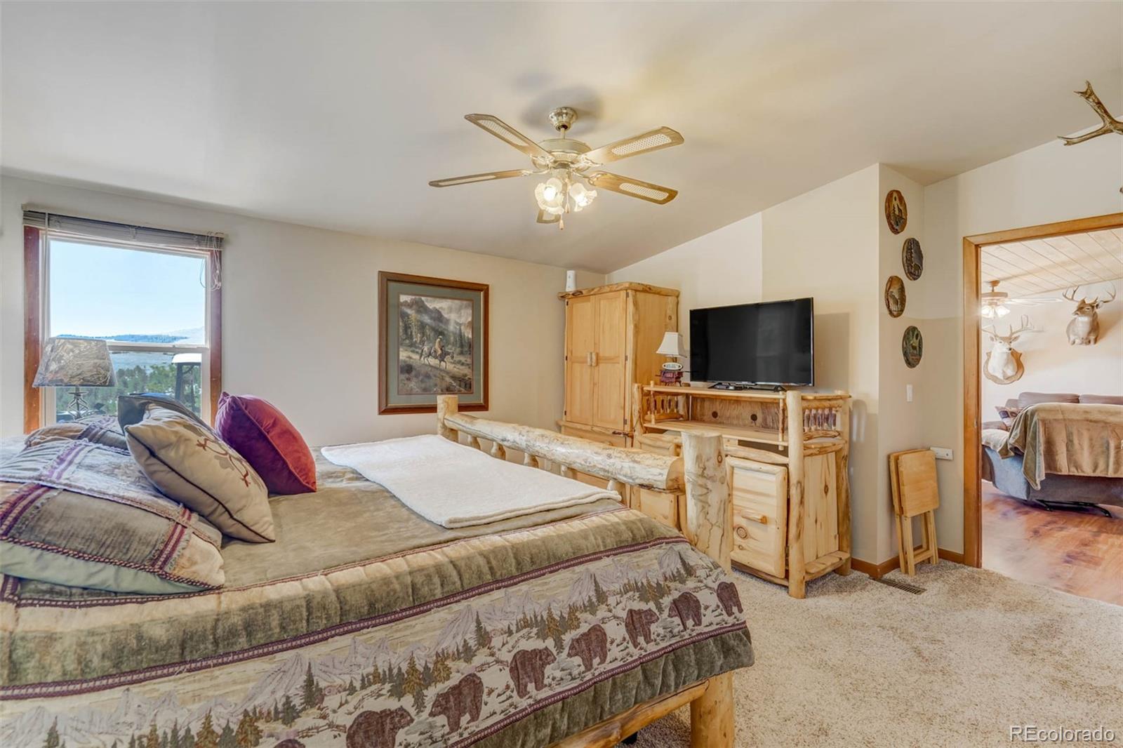 MLS Image #12 for 100  hawk lane,guffey, Colorado