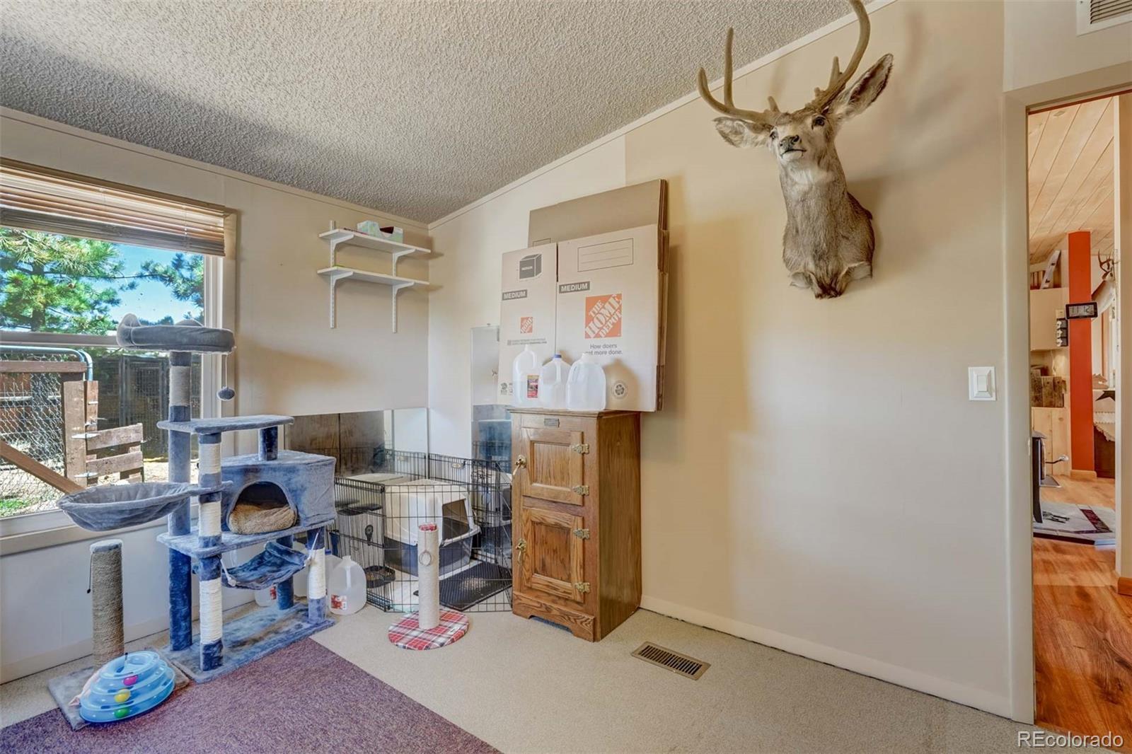 MLS Image #17 for 100  hawk lane,guffey, Colorado