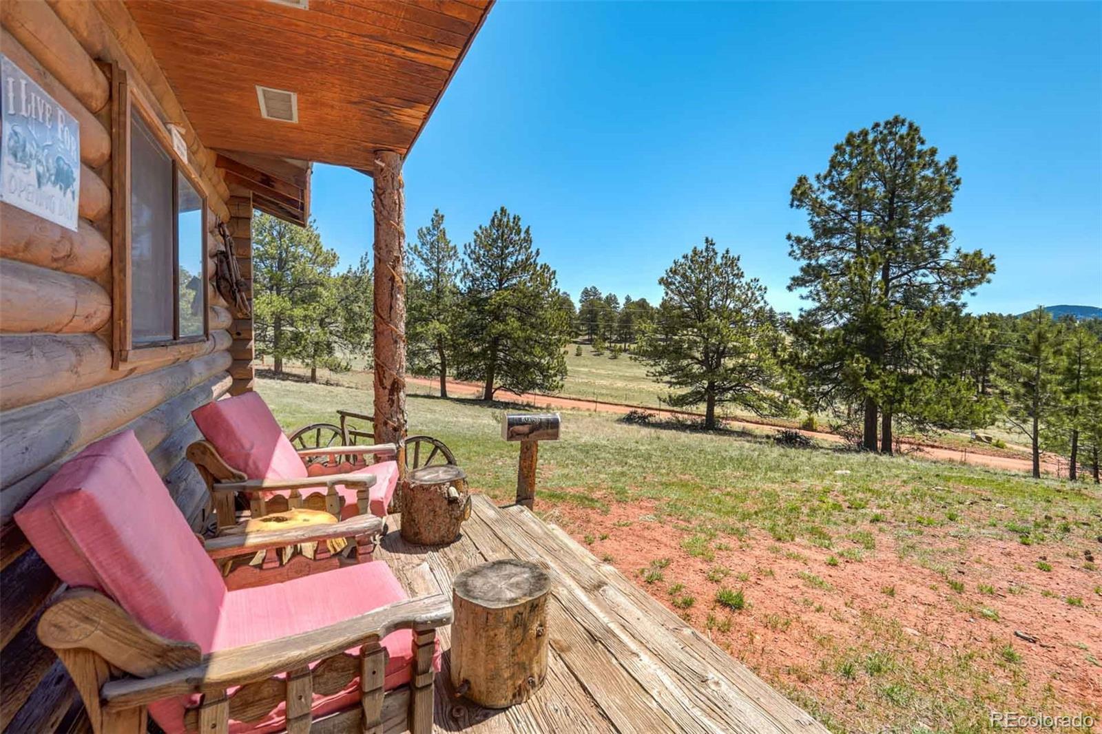 MLS Image #39 for 100  hawk lane,guffey, Colorado