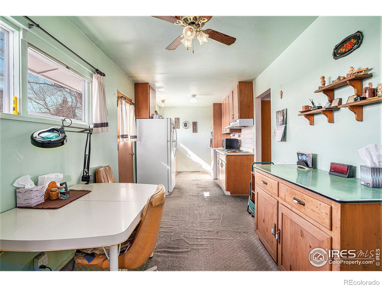 MLS Image #10 for 1031  castlerock drive,fort collins, Colorado