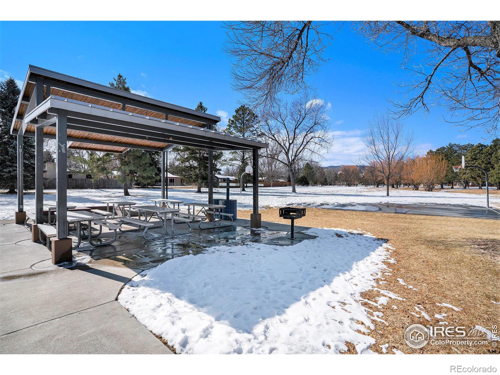 MLS Image #5 for 1031  castlerock drive,fort collins, Colorado