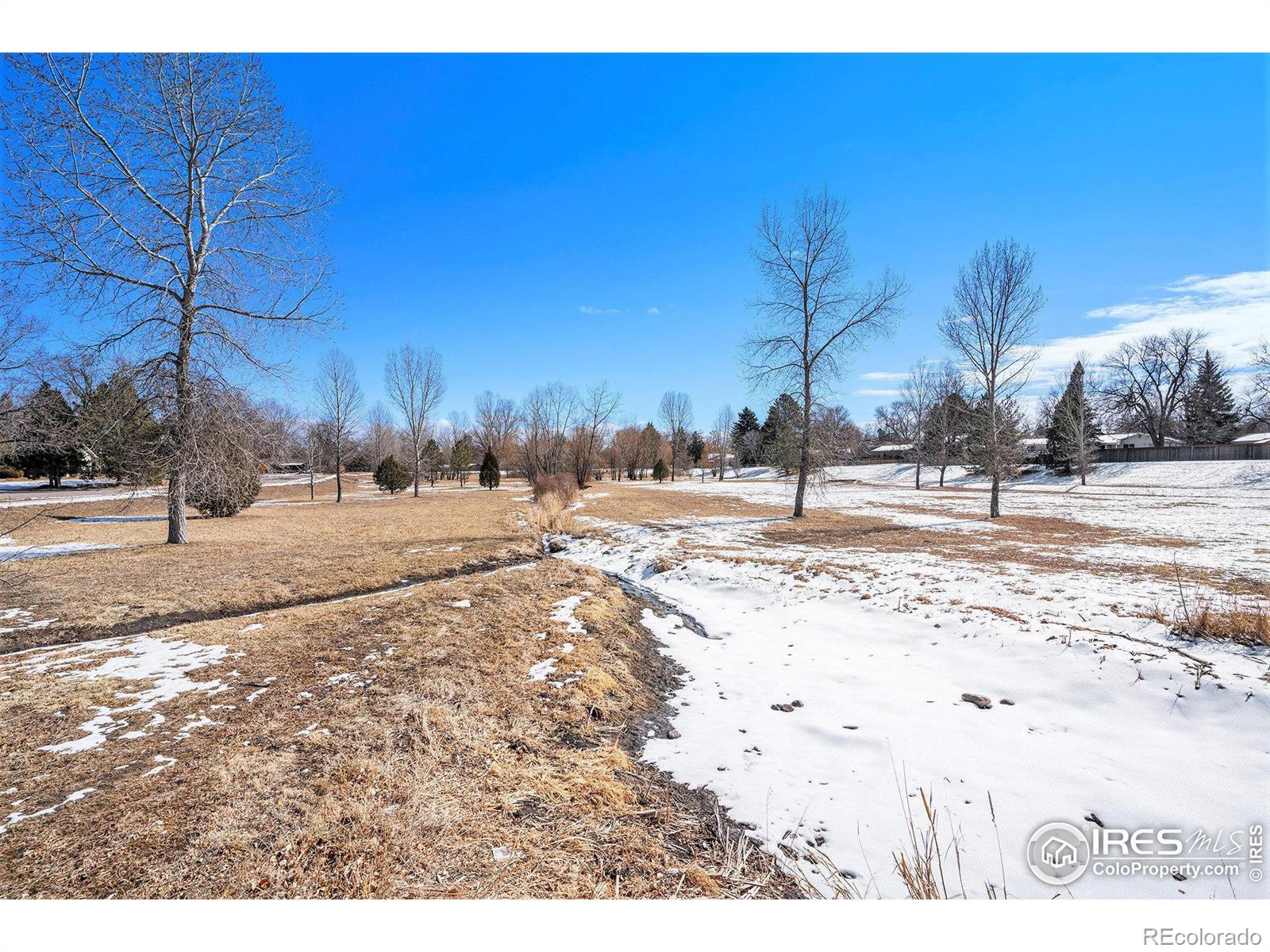 MLS Image #6 for 1031  castlerock drive,fort collins, Colorado