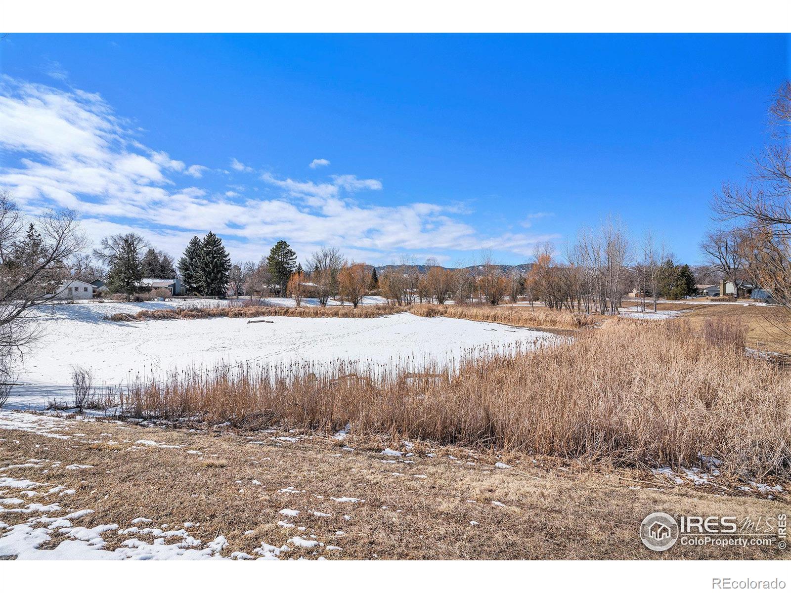 MLS Image #7 for 1031  castlerock drive,fort collins, Colorado