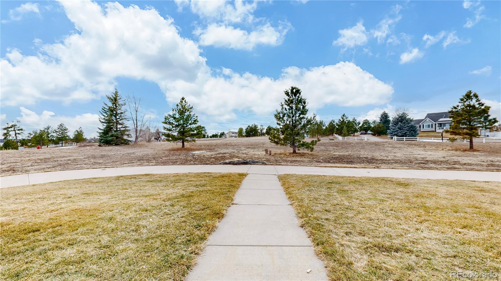 MLS Image #29 for 41402  country rose circle,parker, Colorado