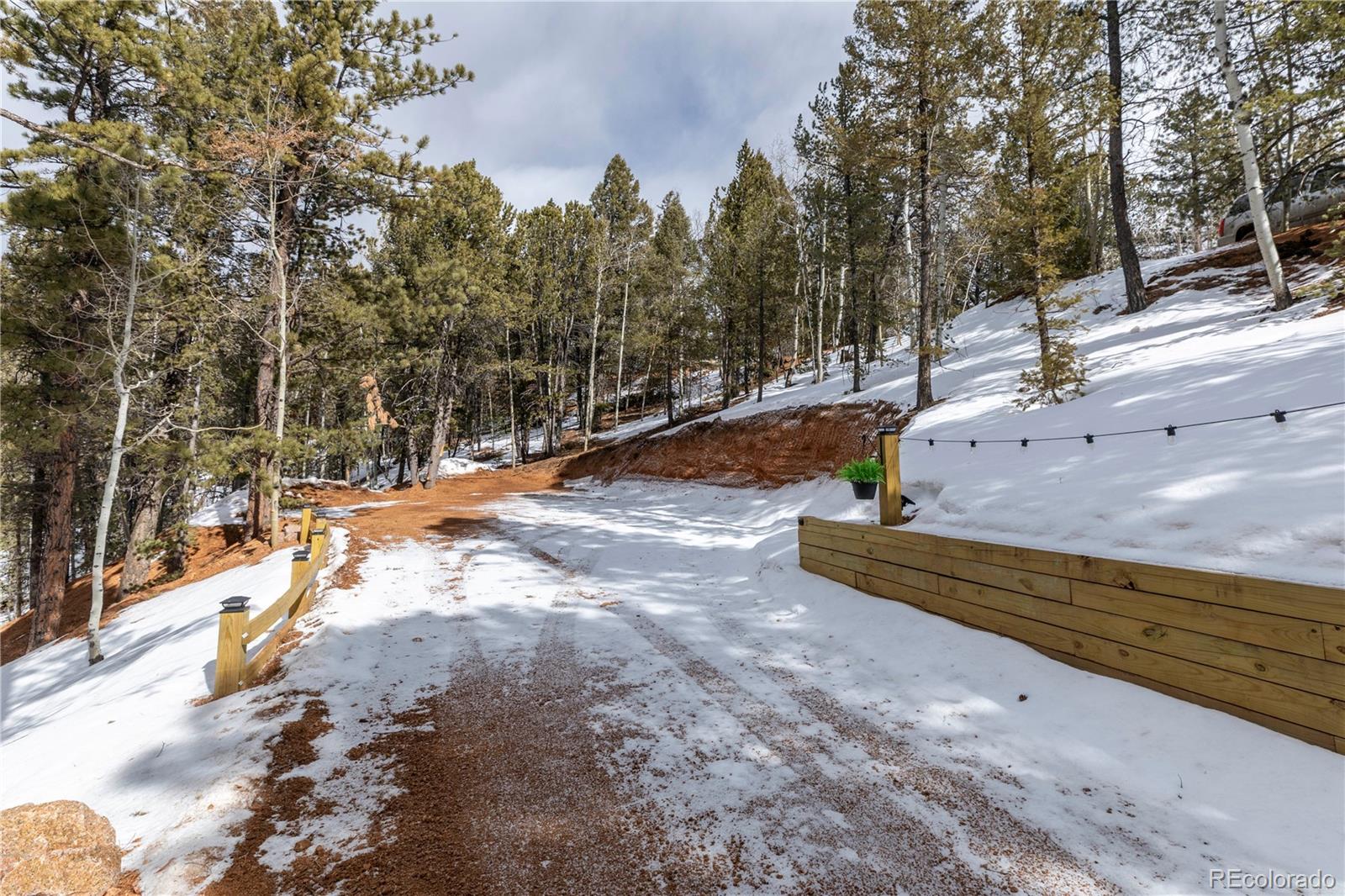 MLS Image #19 for 577  horseshoe drive,divide, Colorado