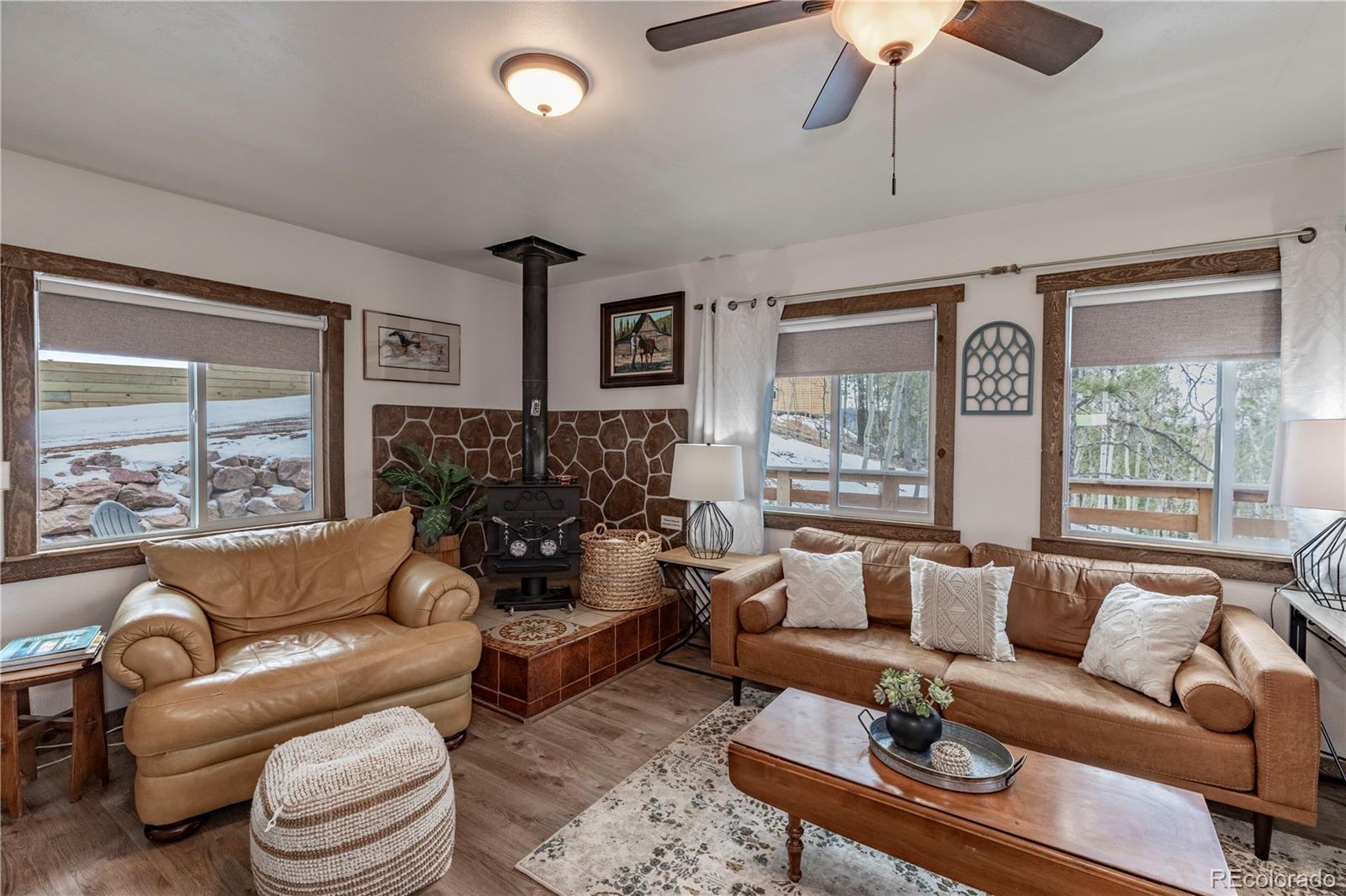 MLS Image #2 for 577  horseshoe drive,divide, Colorado