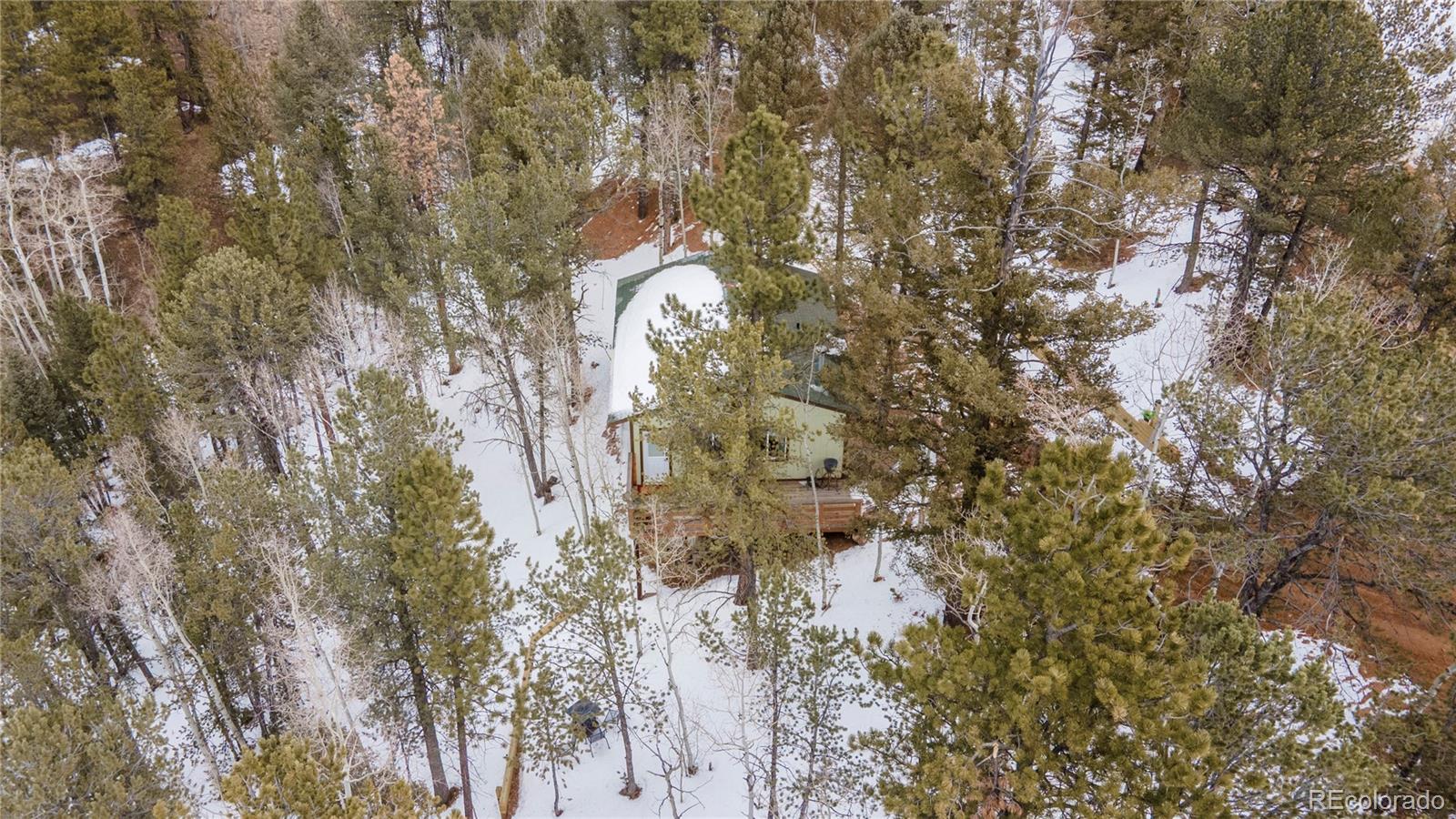 MLS Image #21 for 577  horseshoe drive,divide, Colorado