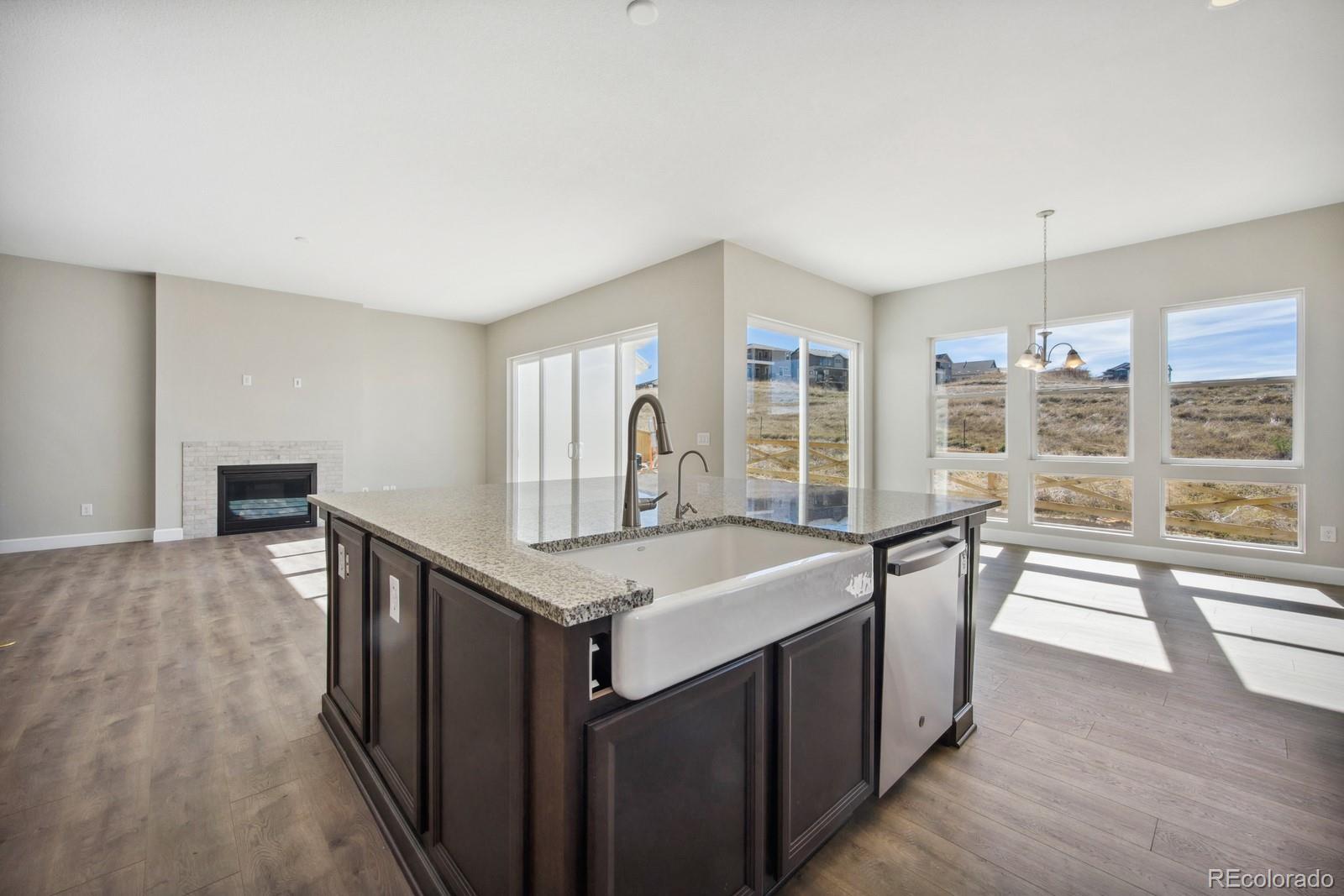 MLS Image #10 for 17054  hop clover avenue,parker, Colorado