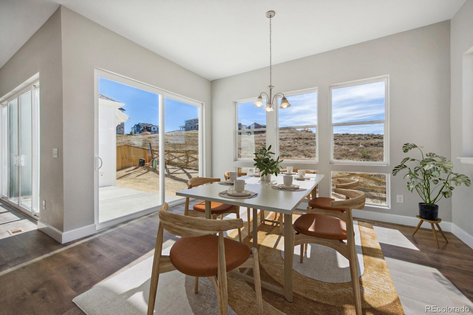 MLS Image #11 for 17054  hop clover avenue,parker, Colorado