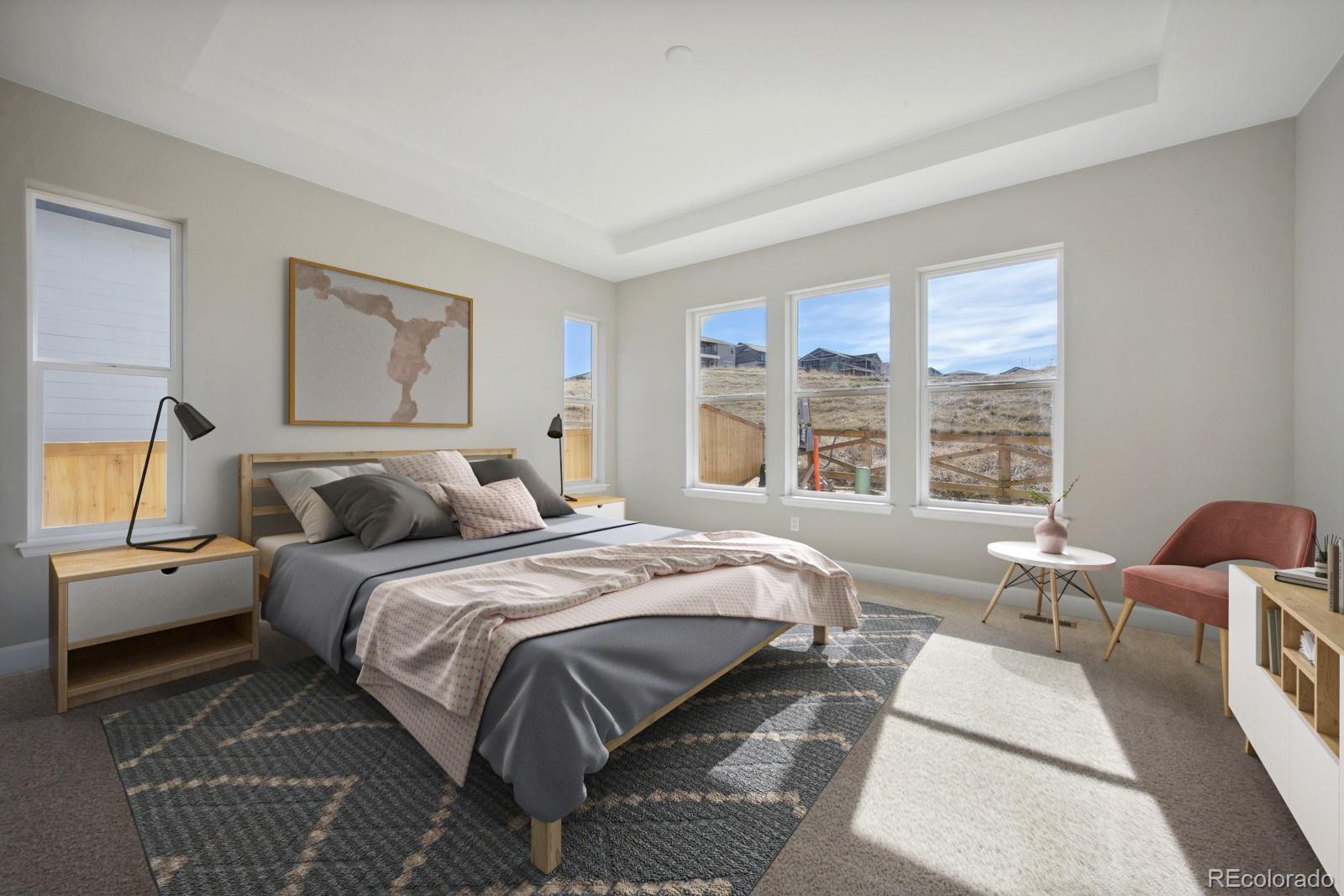 MLS Image #14 for 17054  hop clover avenue,parker, Colorado