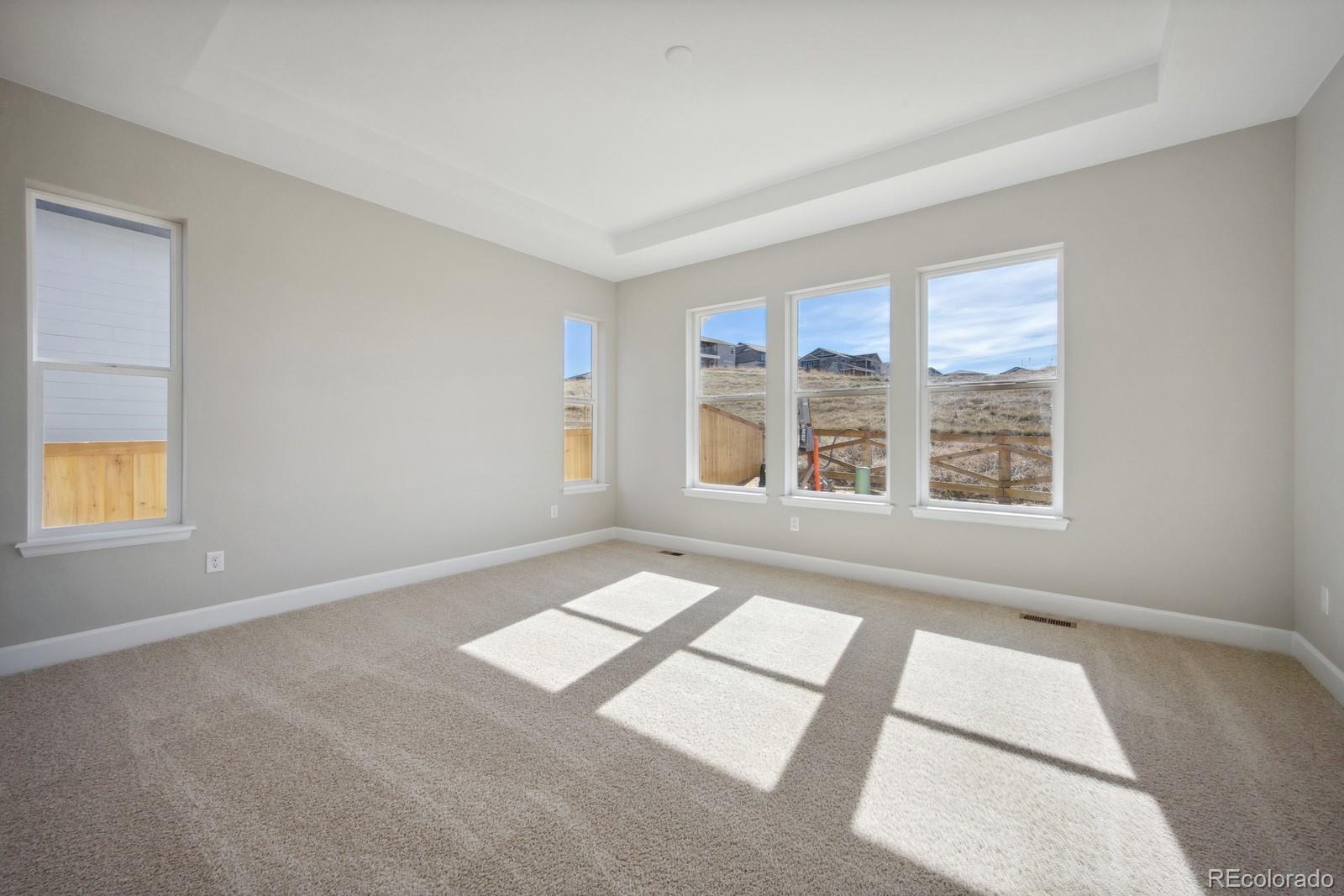 MLS Image #15 for 17054  hop clover avenue,parker, Colorado