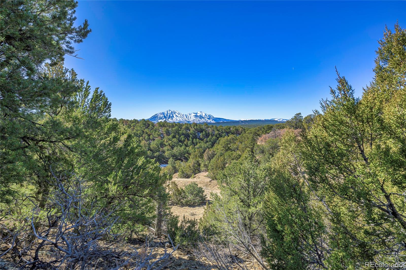 MLS Image #30 for 324  chaps court,walsenburg, Colorado